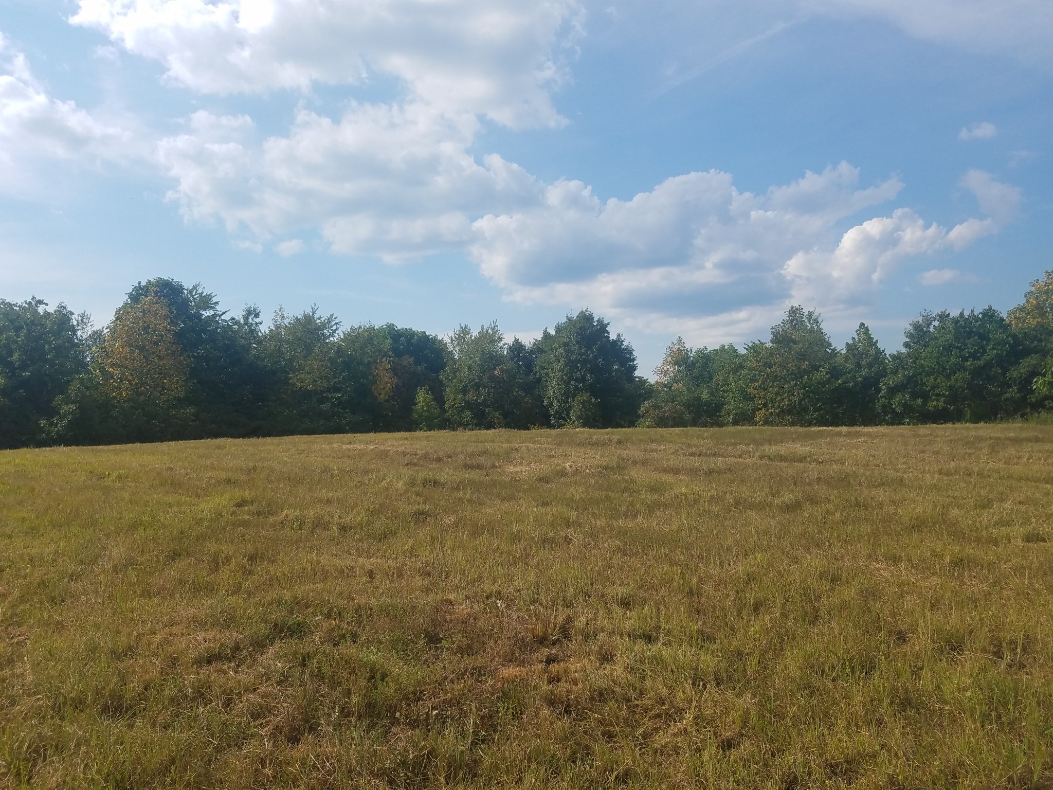 0 Keel Hollow Road Dover, TN 37058 - Photo 14 of 16 Gallery Image 14