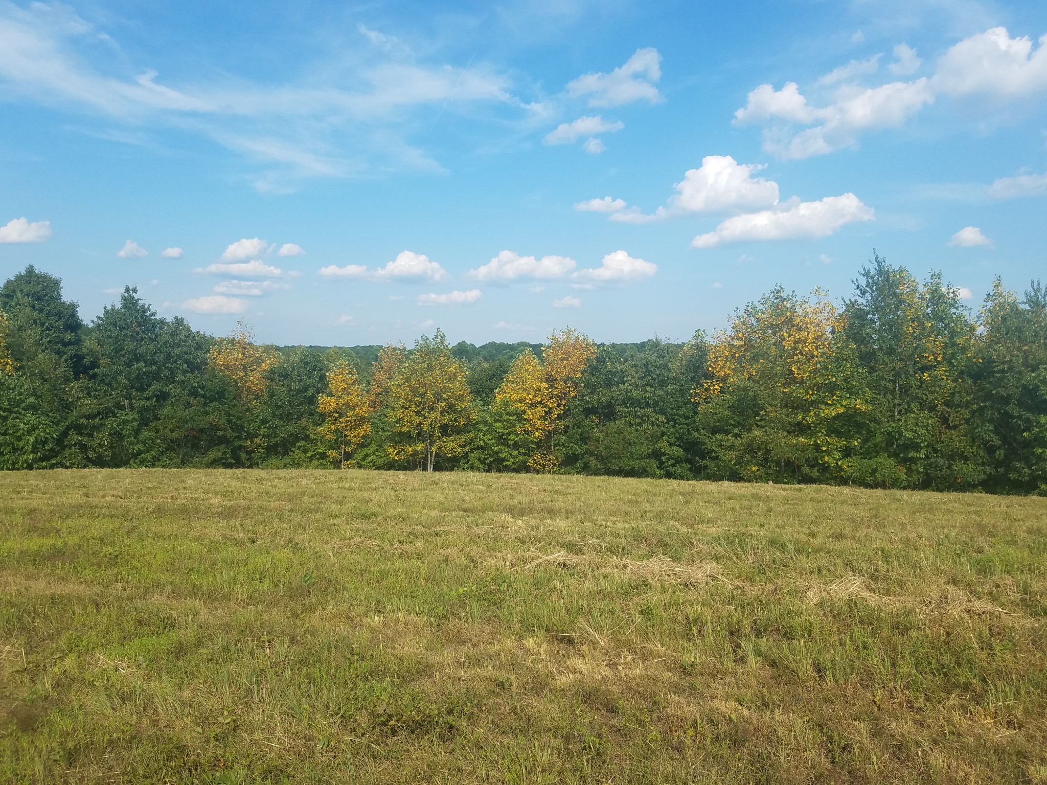 0 Keel Hollow Road Dover, TN 37058 - Photo 15 of 16 Gallery Image 15