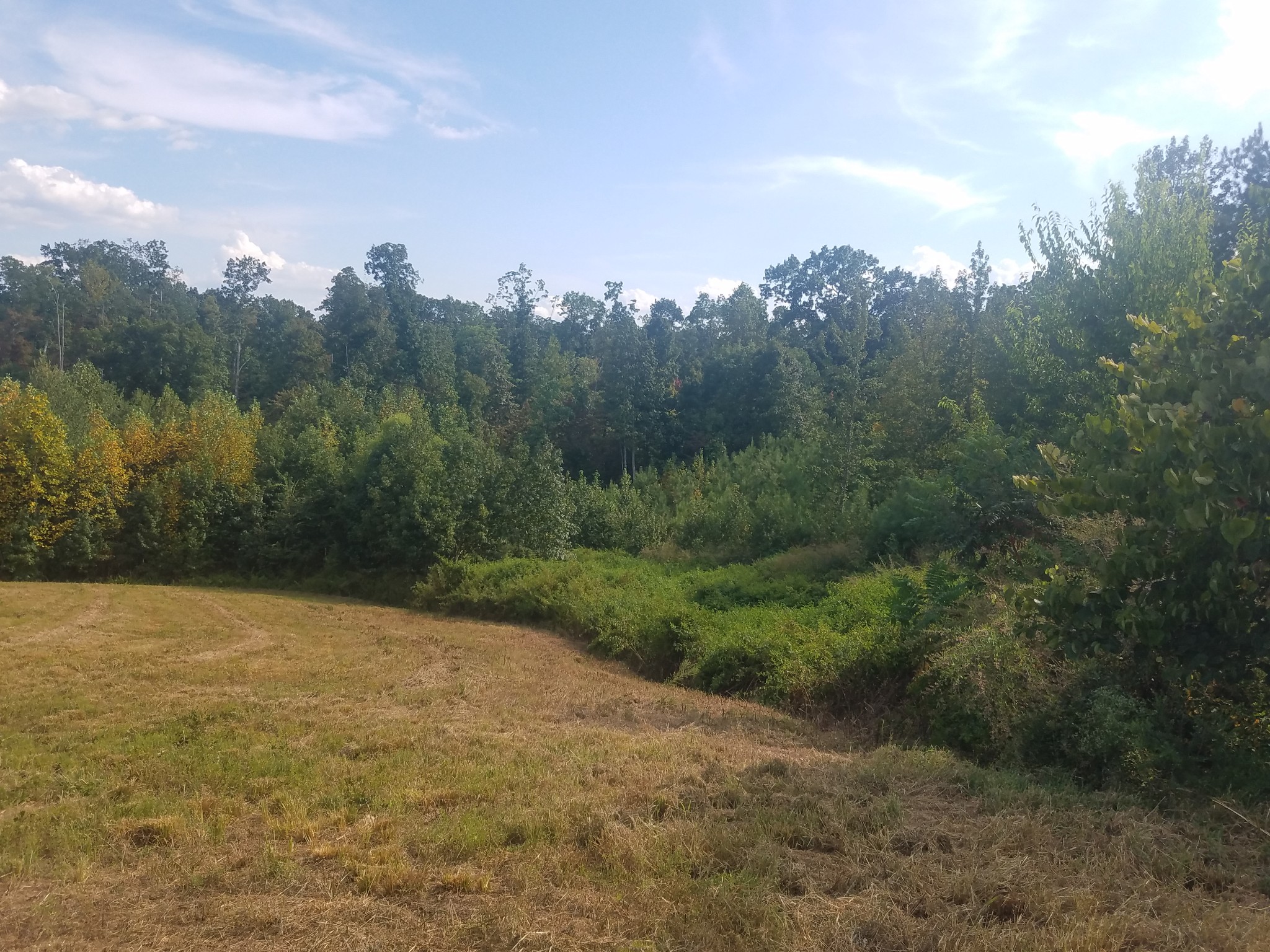 0 Keel Hollow Road Dover, TN 37058 - Photo 16 of 16 Gallery Image 16