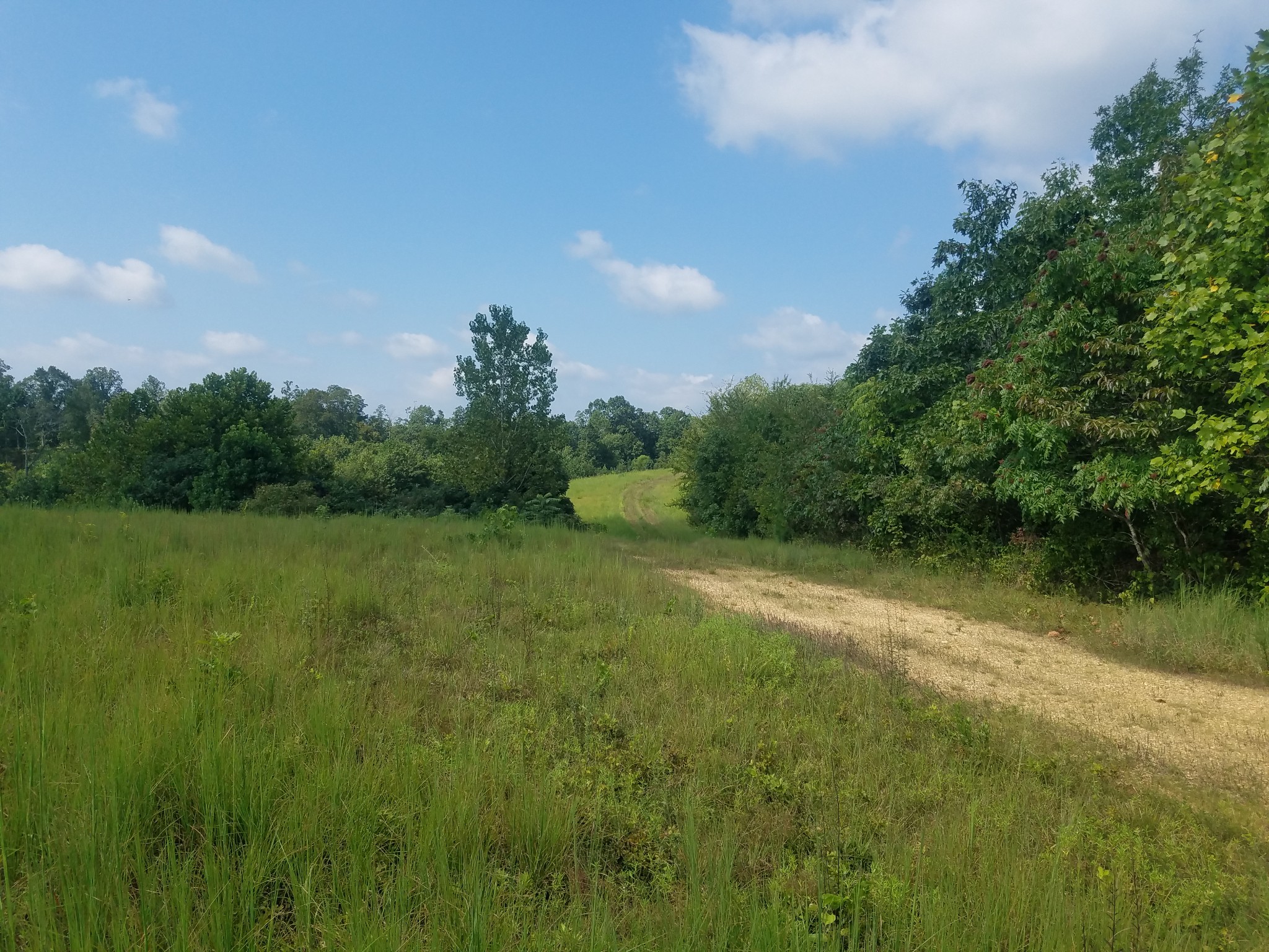 0 Keel Hollow Road Dover, TN 37058 - Photo 3 of 16 Gallery Image 3
