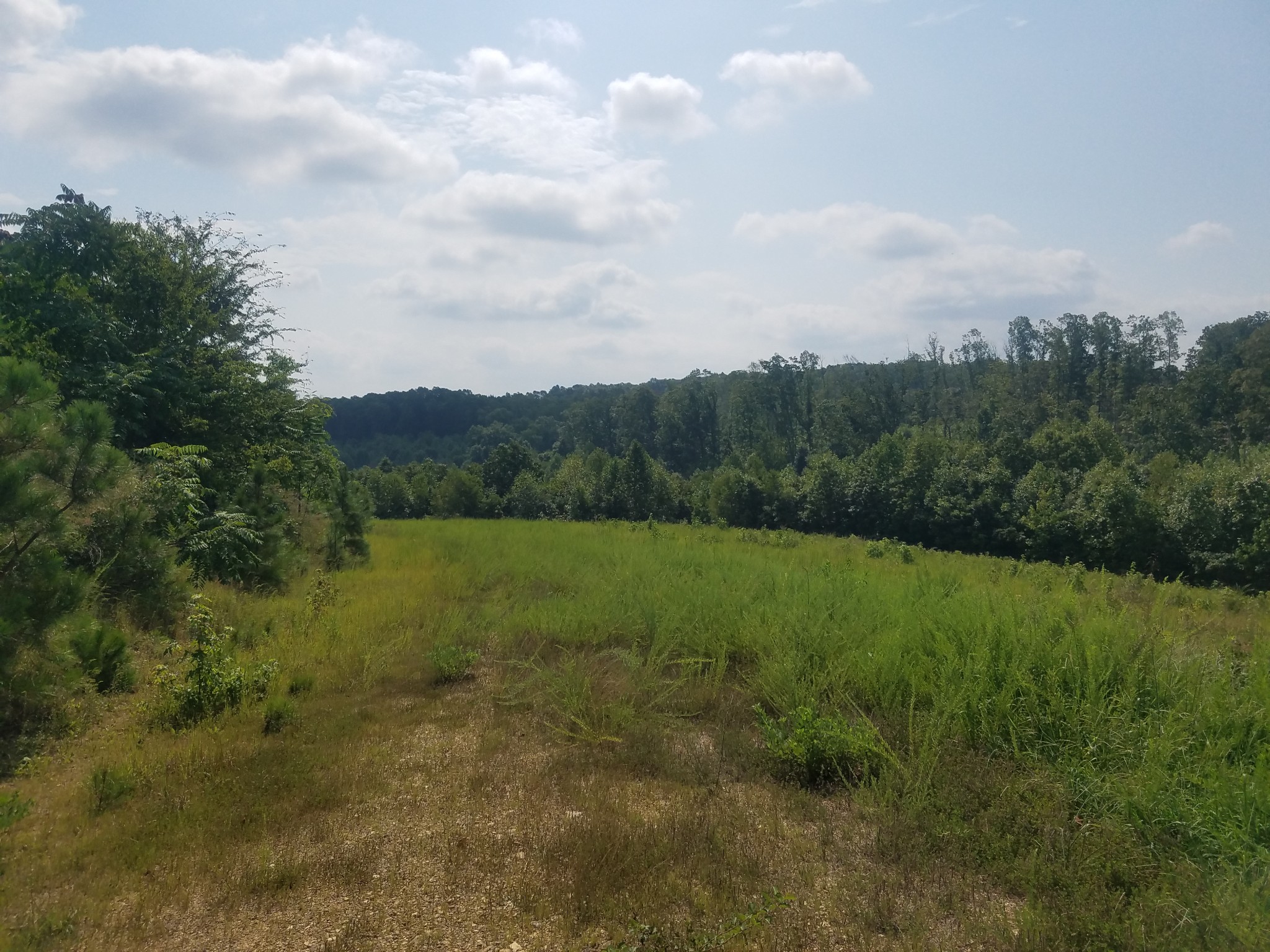 0 Keel Hollow Road Dover, TN 37058 - Photo 4 of 16 Gallery Image 4