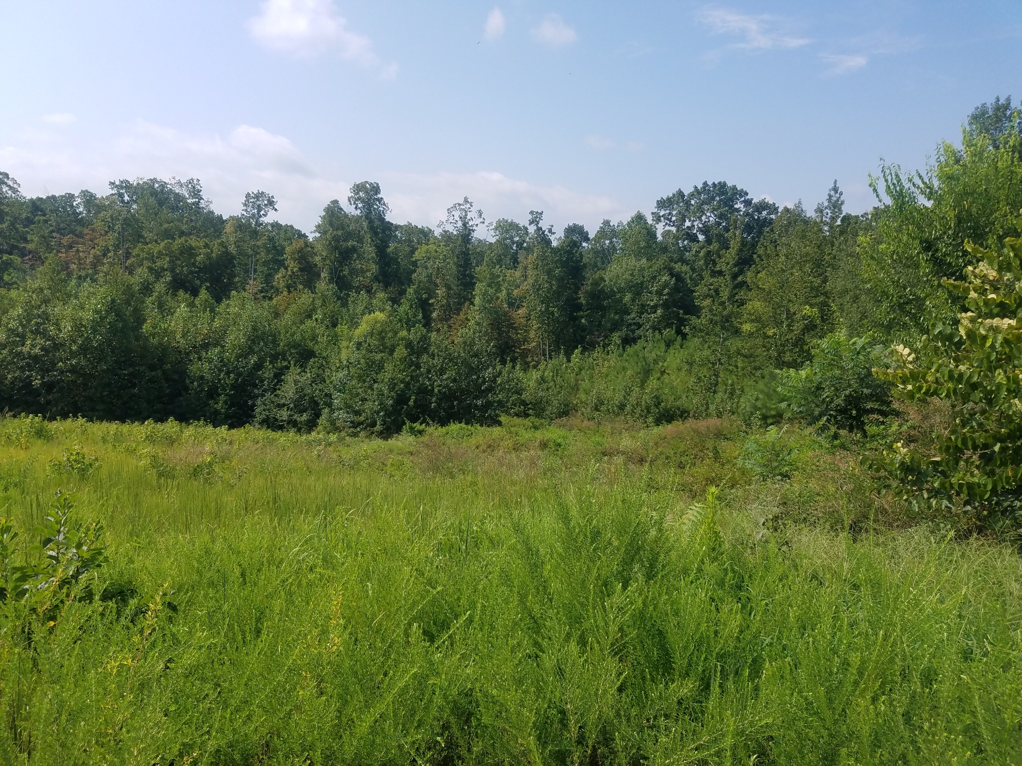 0 Keel Hollow Road Dover, TN 37058 - Photo 5 of 16 Gallery Image 5