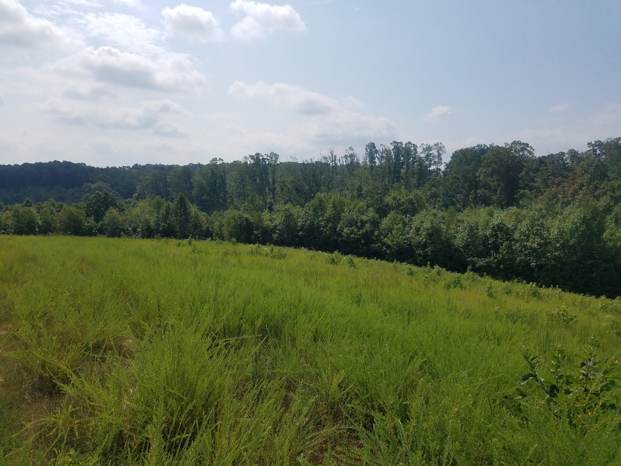 0 Keel Hollow Road Dover, TN 37058 - Photo 6 of 16 Gallery Image 6