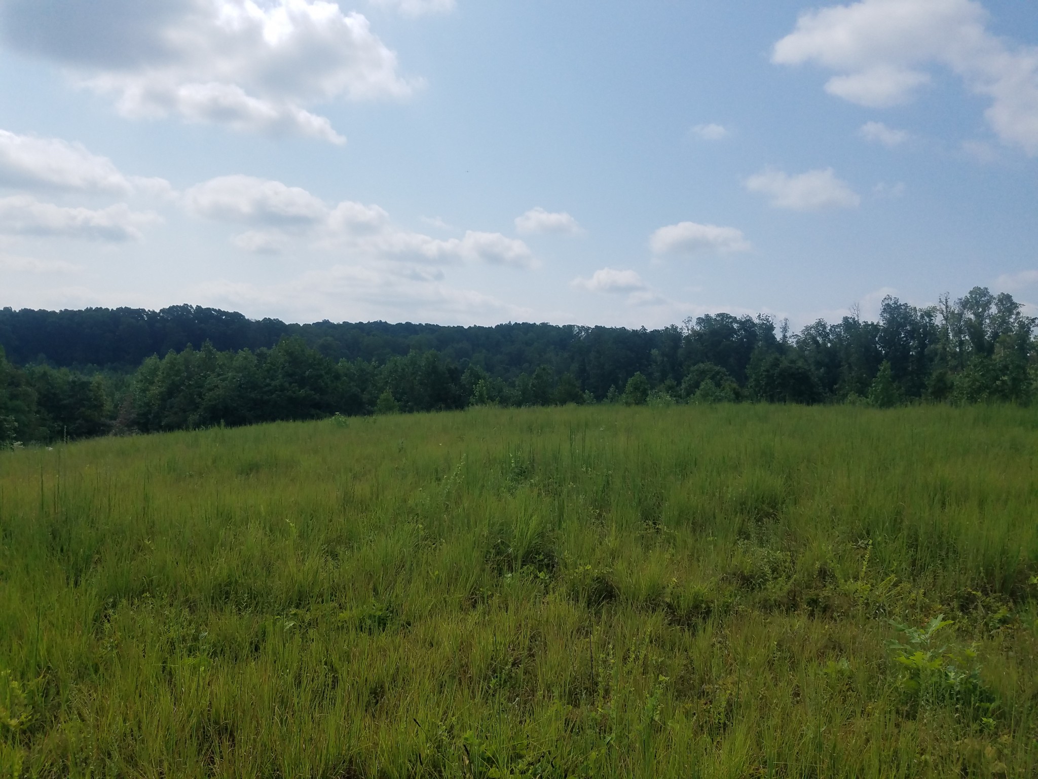 0 Keel Hollow Road Dover, TN 37058 - Photo 7 of 16 Gallery Image 7