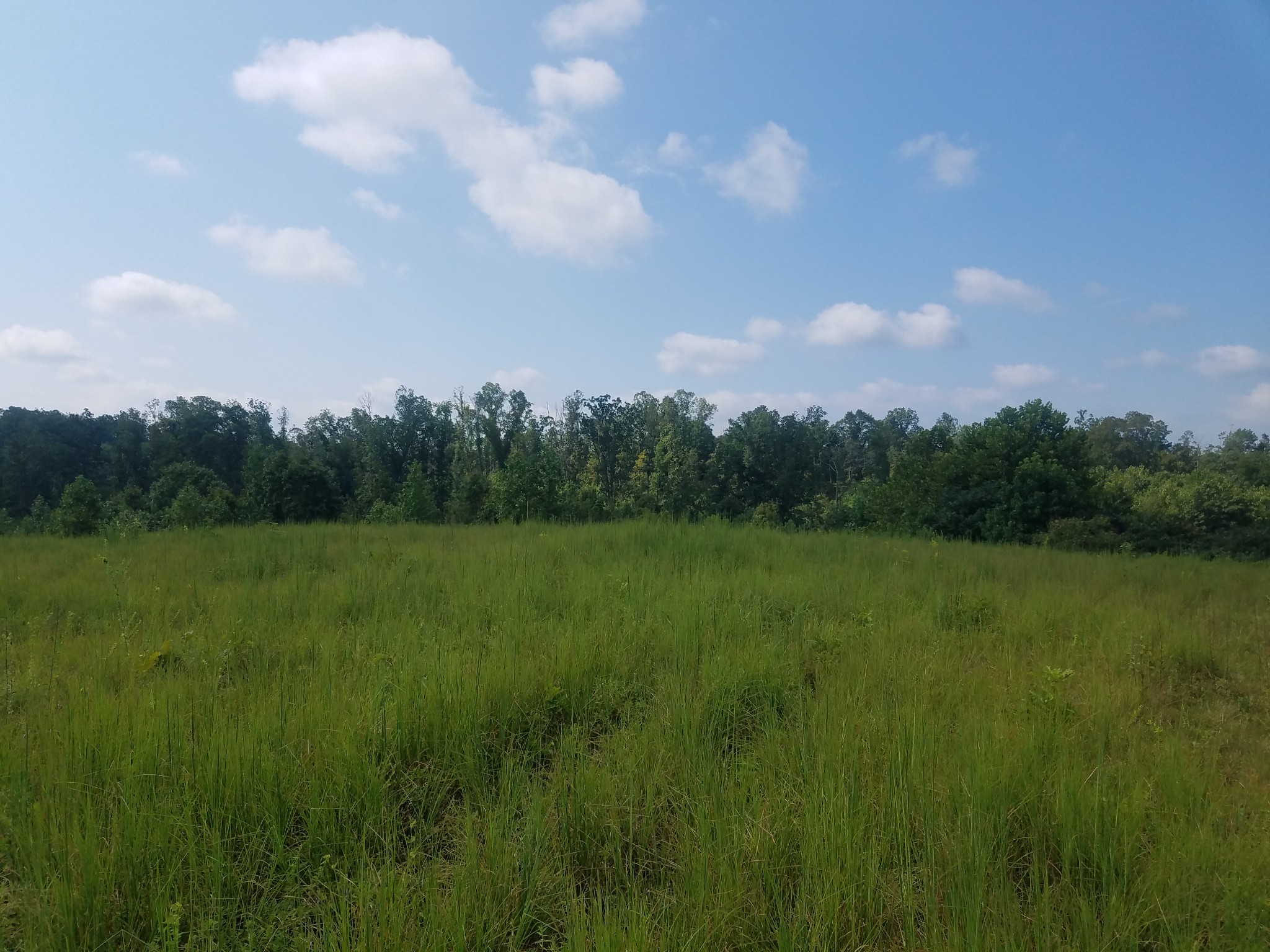 0 Keel Hollow Road Dover, TN 37058 - Photo 8 of 16 Gallery Image 8