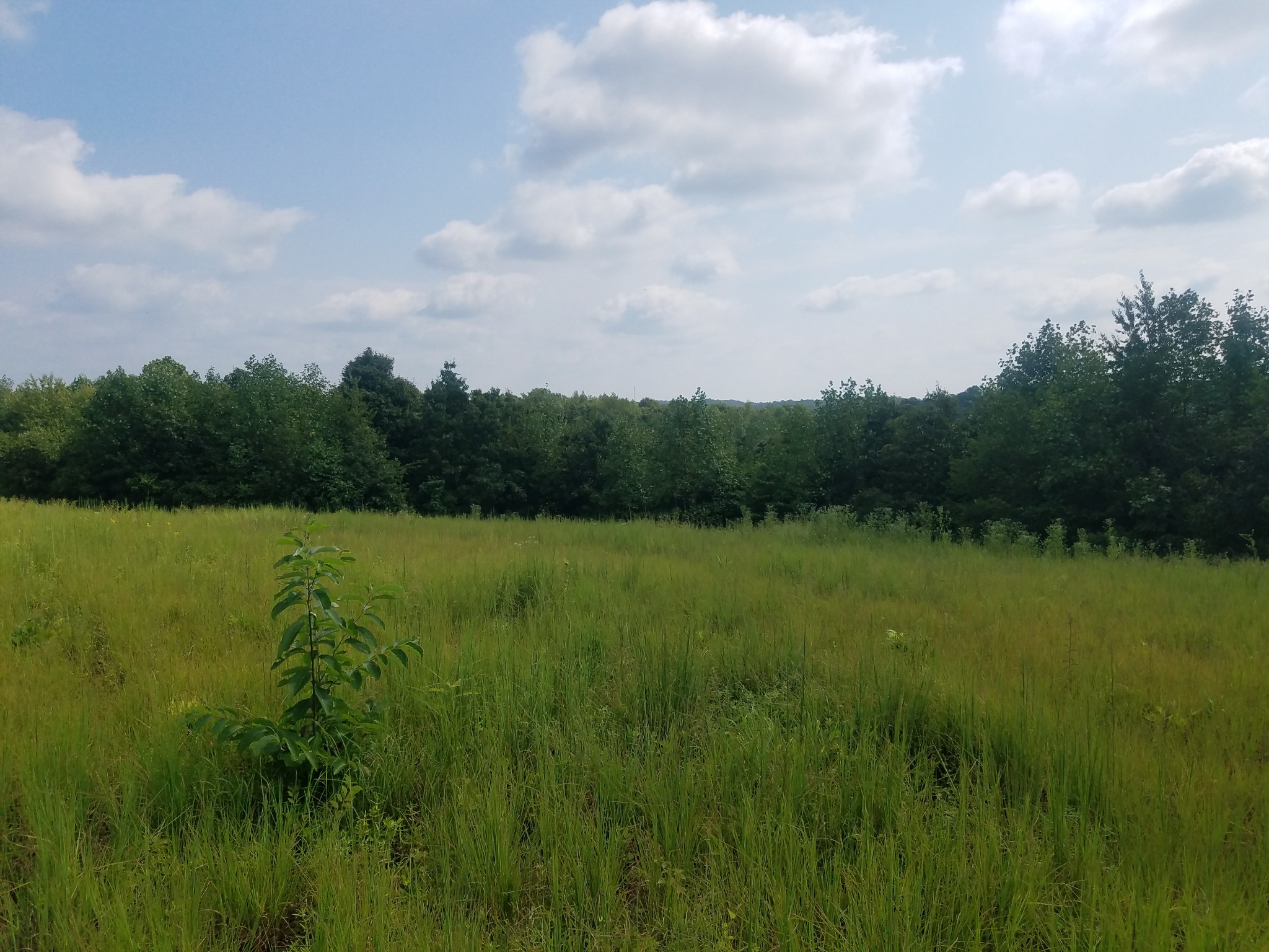 0 Keel Hollow Road Dover, TN 37058 - Photo 9 of 16 Gallery Image 9