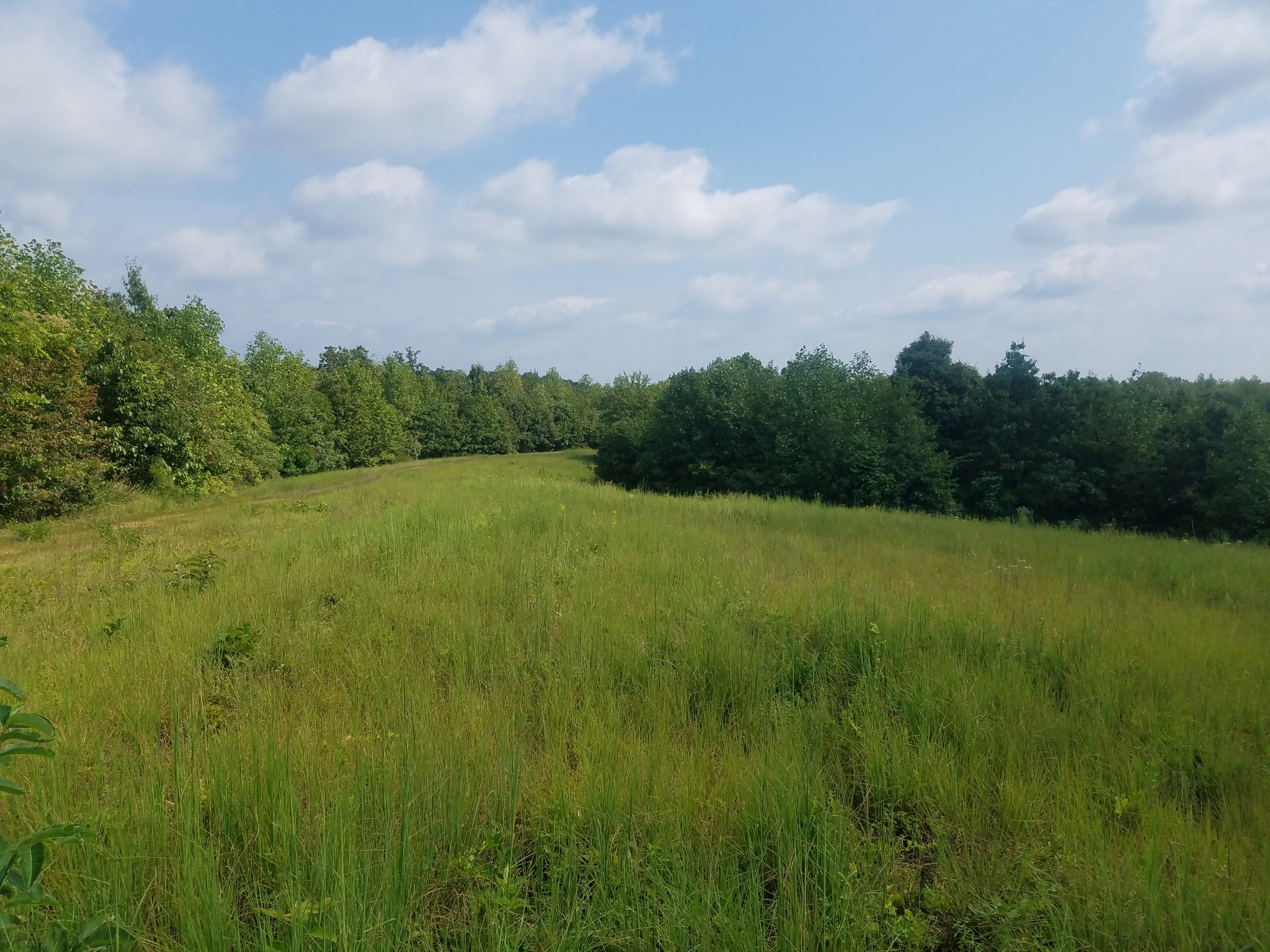 0 Keel Hollow Road Dover, TN 37058 - Photo 10 of 16 Gallery Image 10