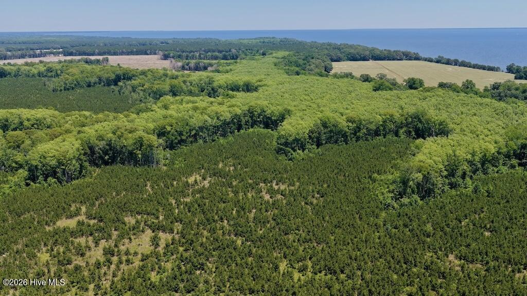 500 Indian Trail Road Edenton, NC 27932 - Photo 17 of 60