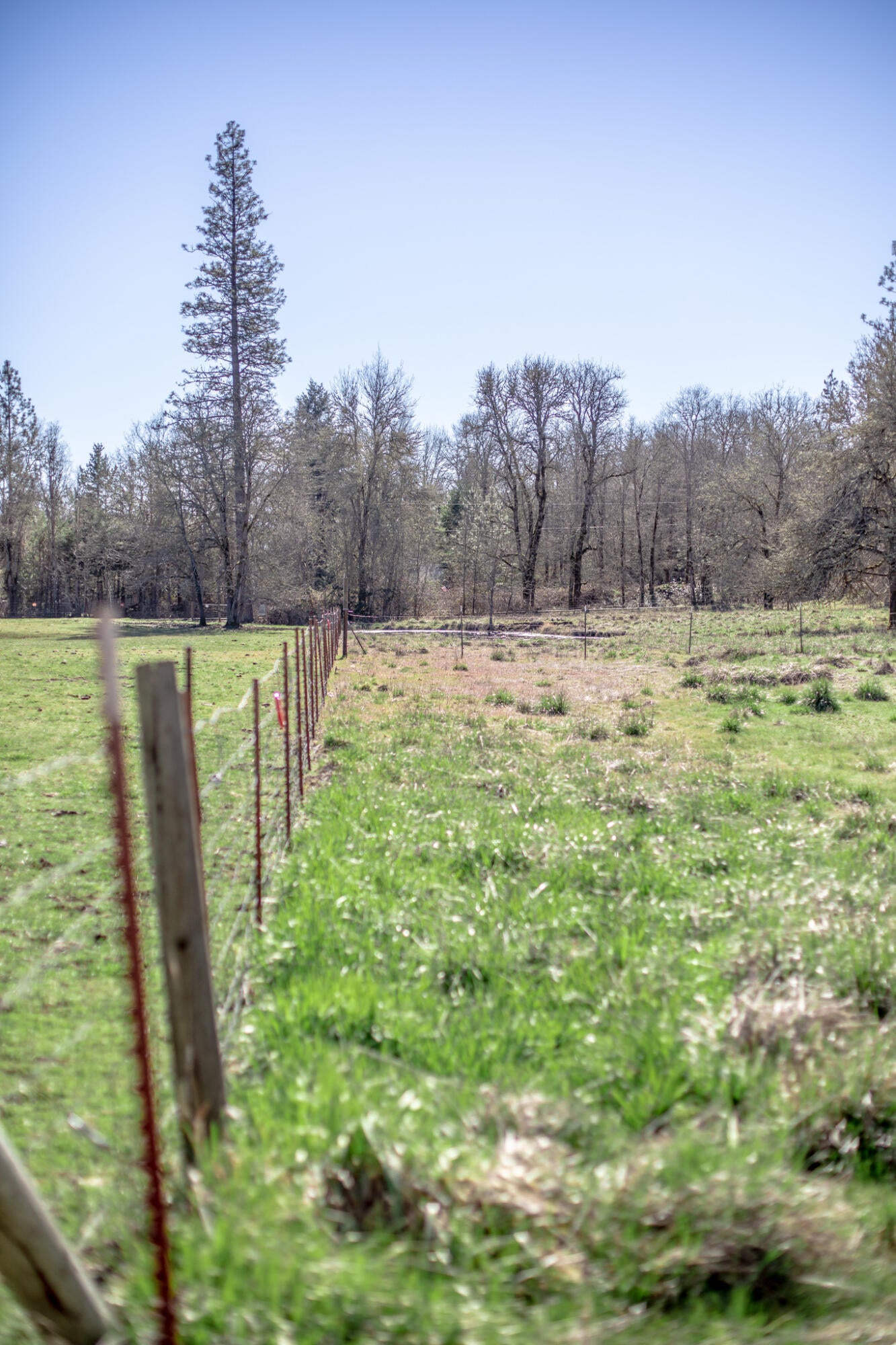 2074 Pine Grove Road Rogue River, OR 97537 - Photo 10 of 34 2H2A6546