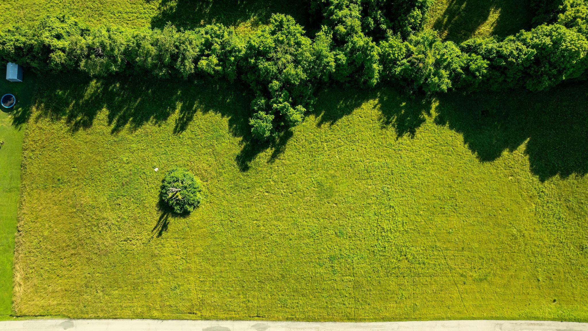 - Poplar Thicket Road Alexandria, KY 41001 - Photo 5 of 12 Poplar Thicket