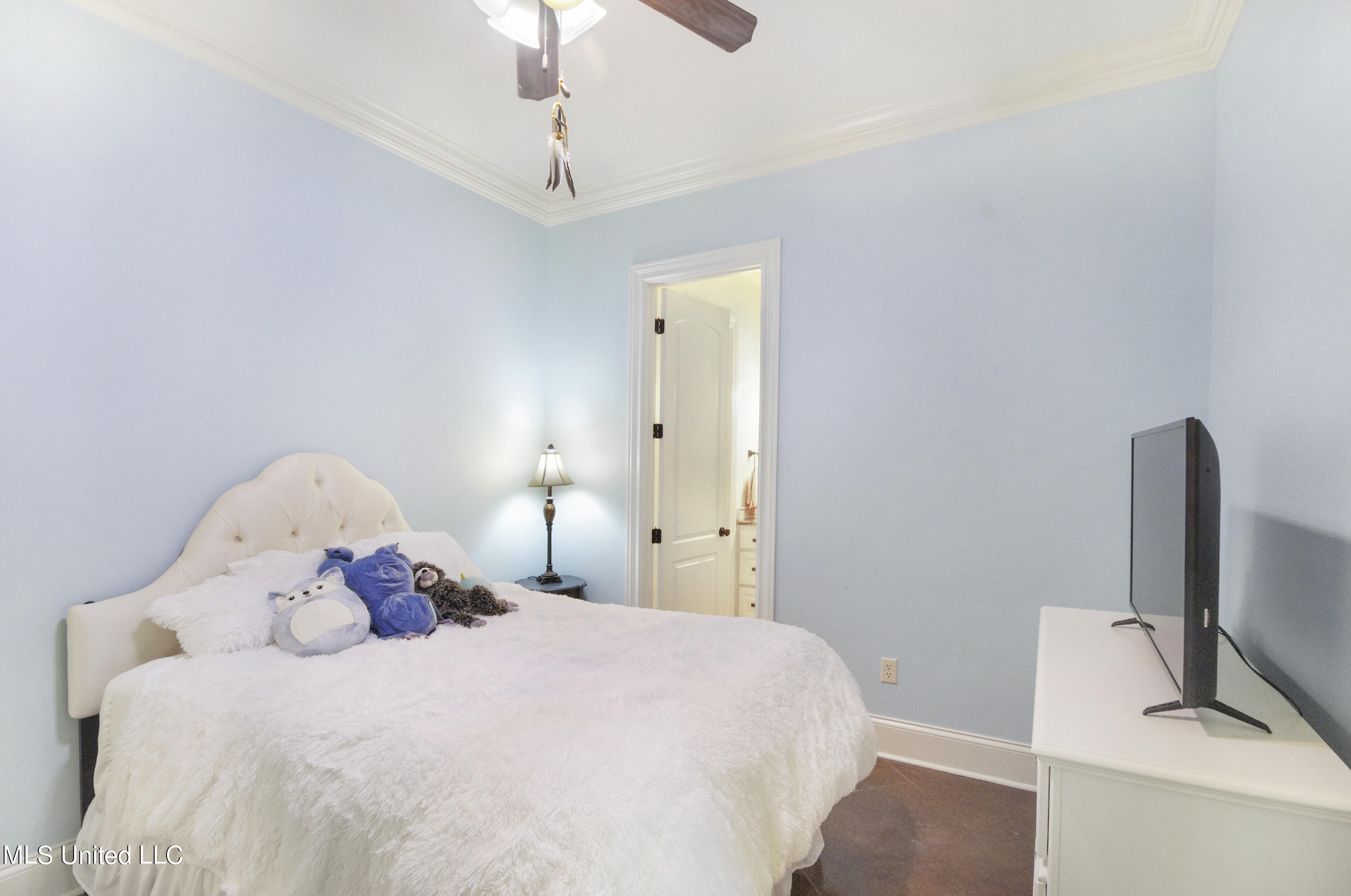 517 Parkway Circle Brandon, MS 39042 - Photo 36 of 68 IMGP6689