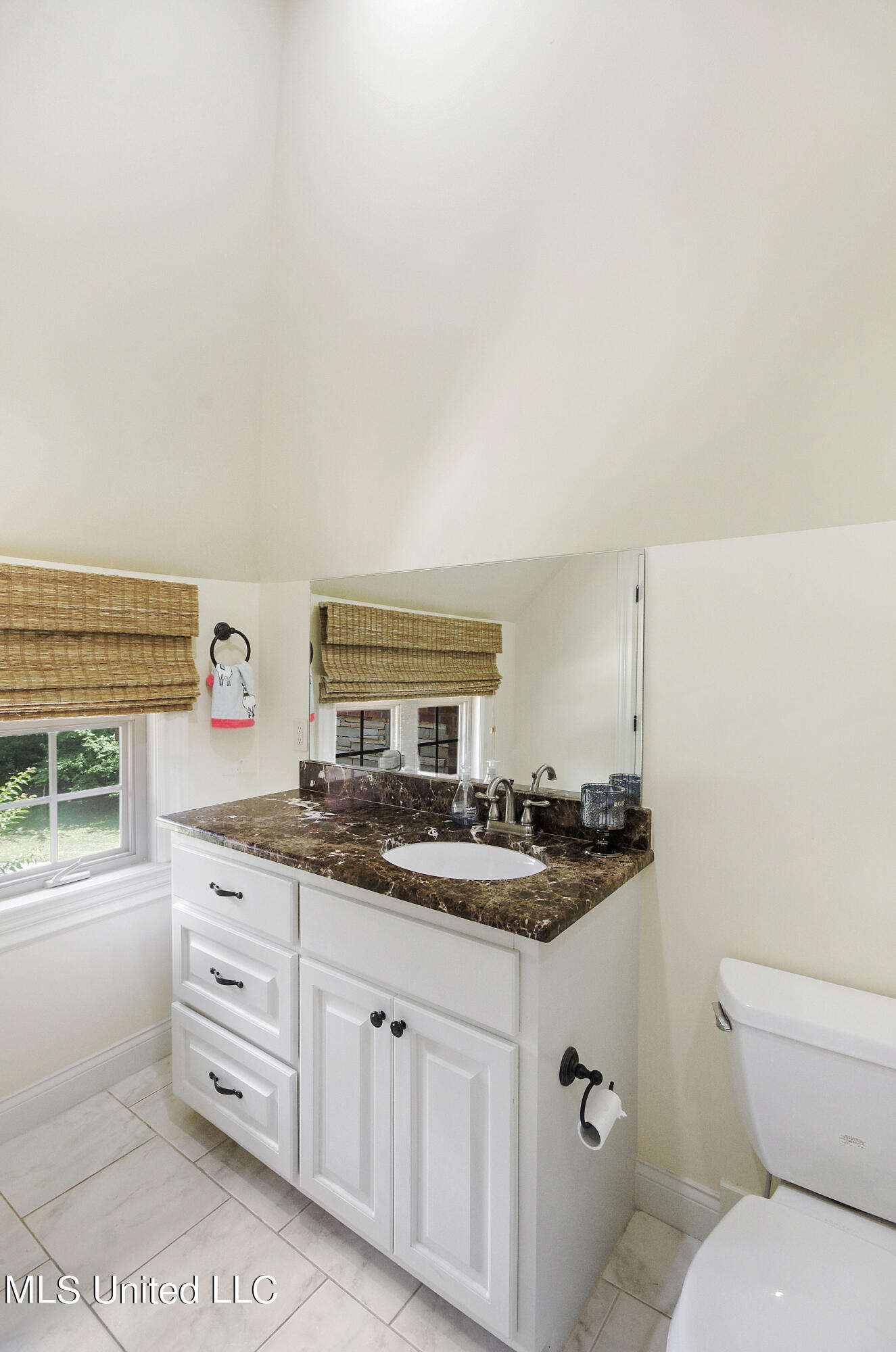 517 Parkway Circle Brandon, MS 39042 - Photo 44 of 68 IMGP6715