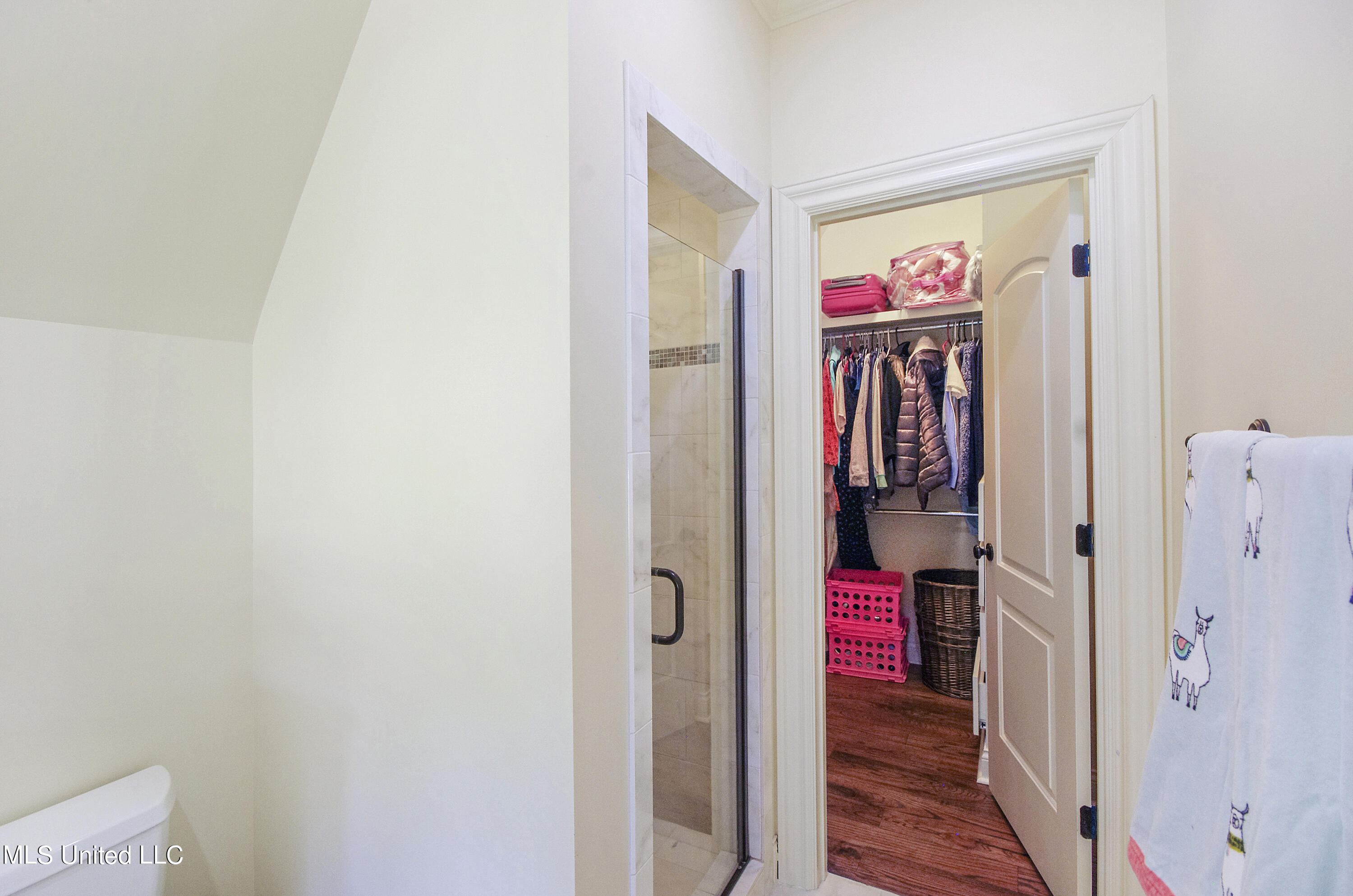 517 Parkway Circle Brandon, MS 39042 - Photo 45 of 68 IMGP6718