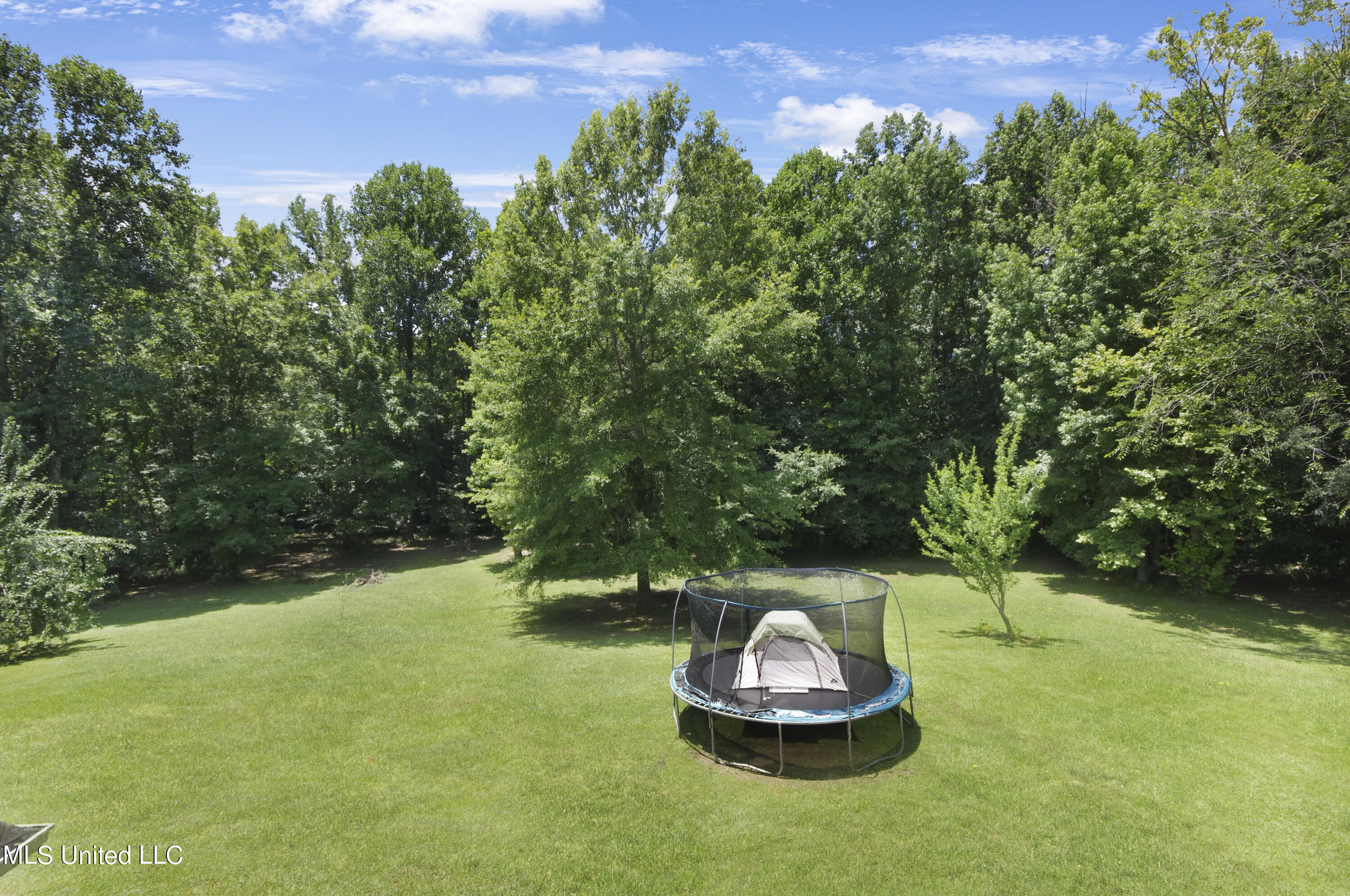 517 Parkway Circle Brandon, MS 39042 - Photo 56 of 68 IMGP6752