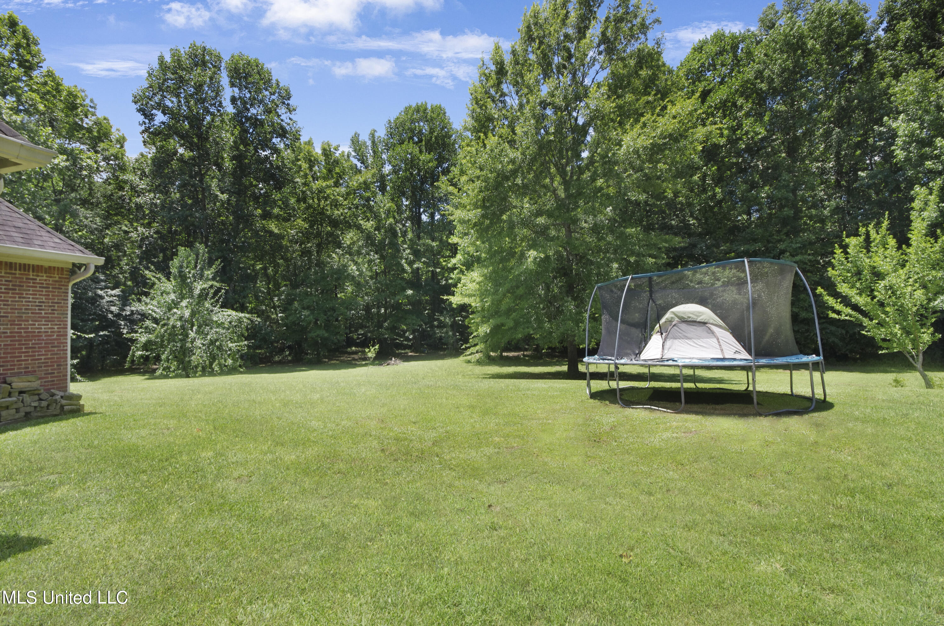 517 Parkway Circle Brandon, MS 39042 - Photo 60 of 68 IMGP6767