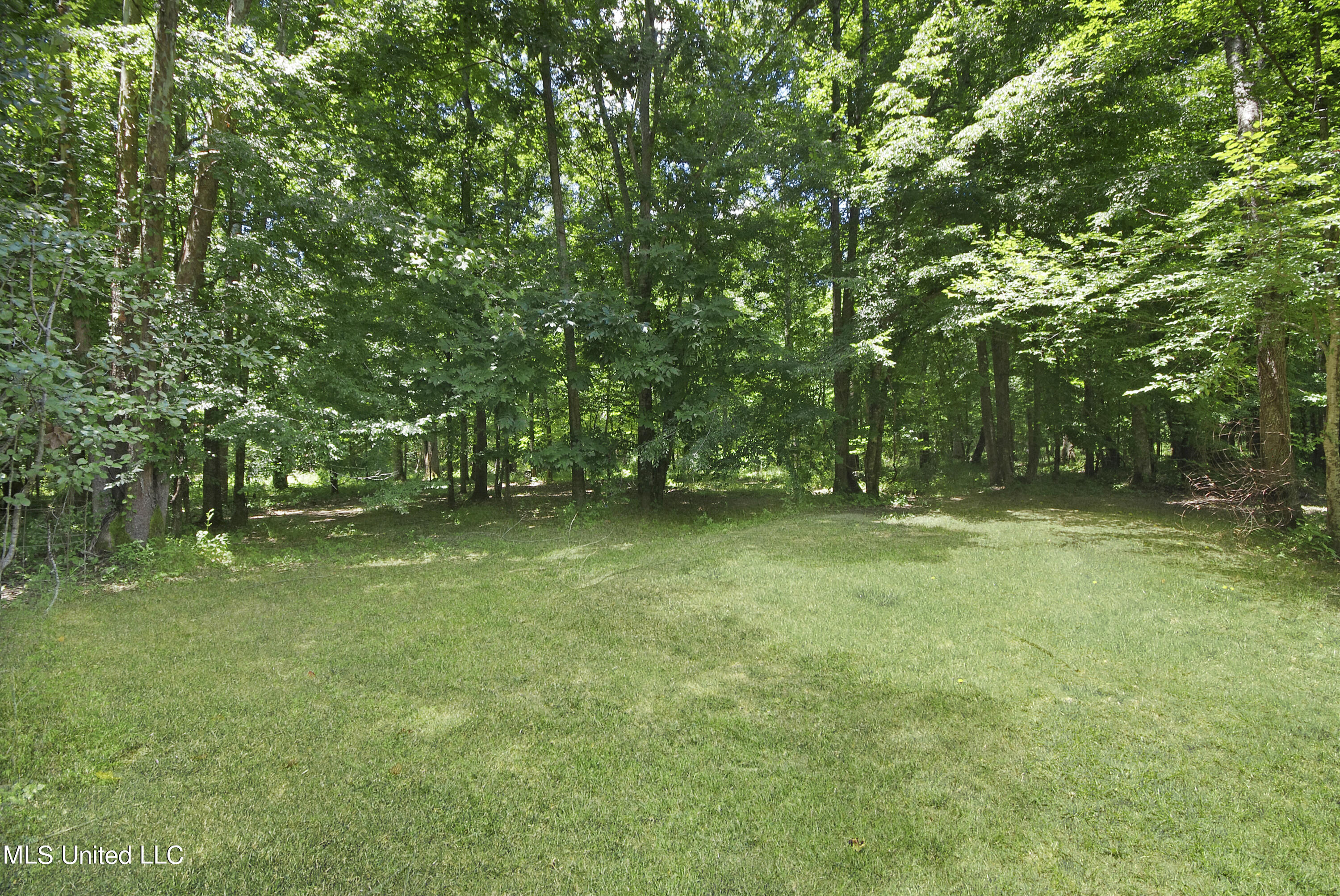 517 Parkway Circle Brandon, MS 39042 - Photo 67 of 68 IMGP6782