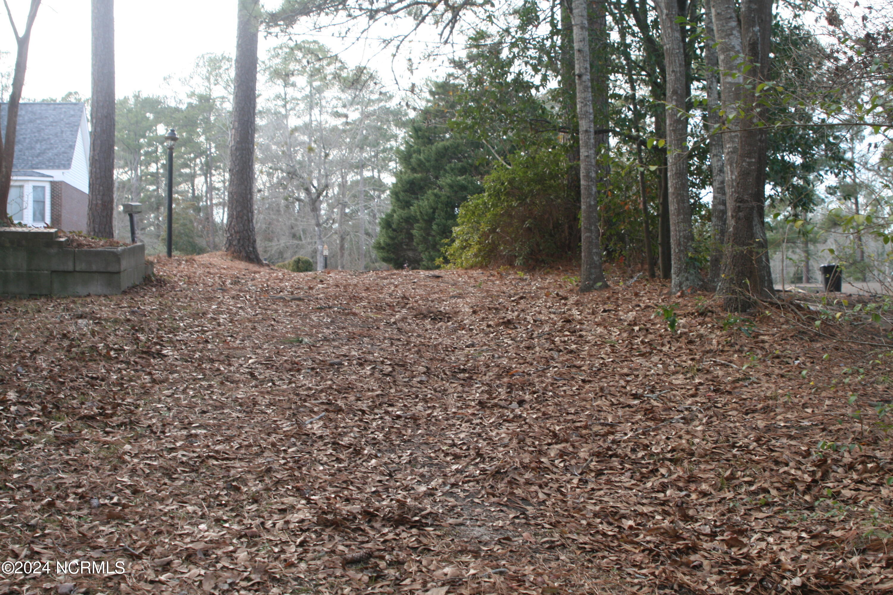 1008 Morningside Drive Rockingham, NC 28379 - Photo 17 of 20 IMG_0682