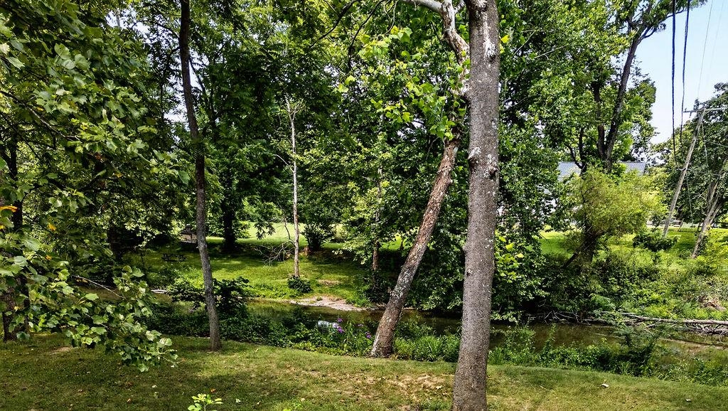 1243 Meadowbrook Road Waynesboro, VA 22980 - Photo 5 of 57 Gallery Image 5