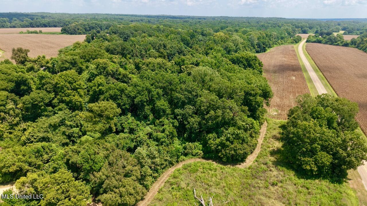 0 Howard Road Lexington, MS 39095 - Photo 12 of 14 IMG_5445