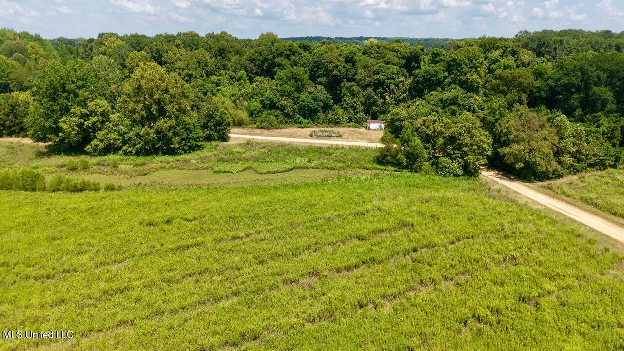 0 Howard Road Lexington, MS 39095 - Photo 14 of 14 IMG_5442