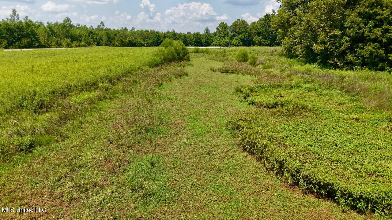 0 Howard Road Lexington, MS 39095 - Photo 10 of 14 IMG_5447