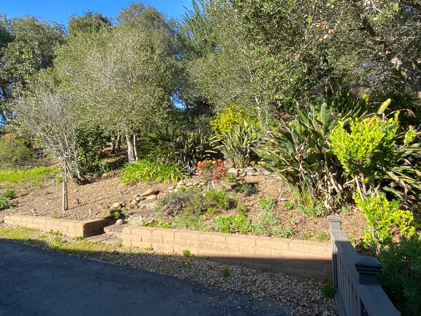 7 Vía Del Sol Watsonville, CA 95076 - Photo 15 of 21 a view of a yard with a tree