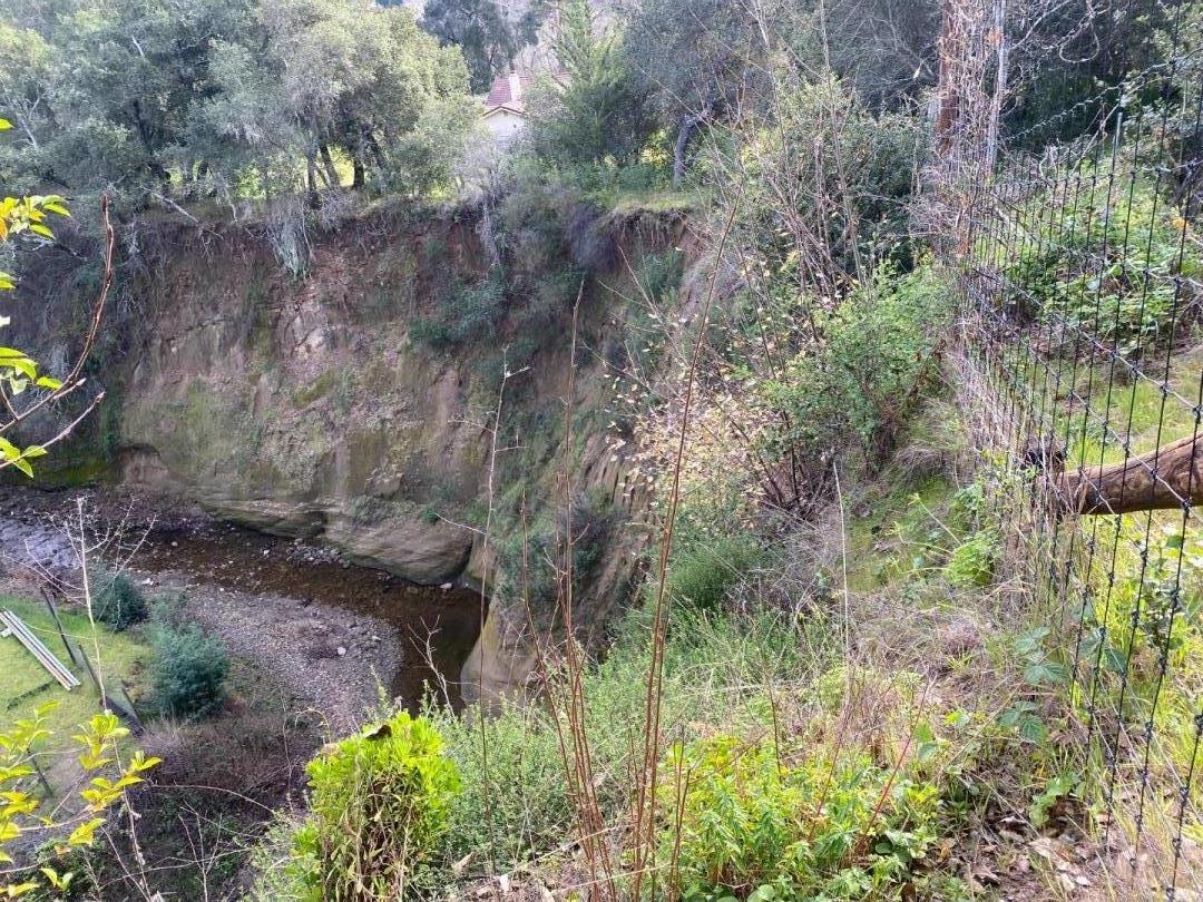 7 Vía Del Sol Watsonville, CA 95076 - Photo 21 of 21 a view of a yard with plants and large trees