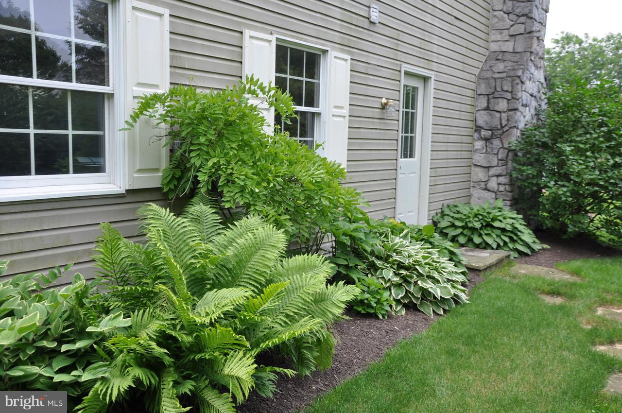 854 Furnace Hills Pike Lititz, PA 17543 - Photo 37 of 50 Beautiful shrubs