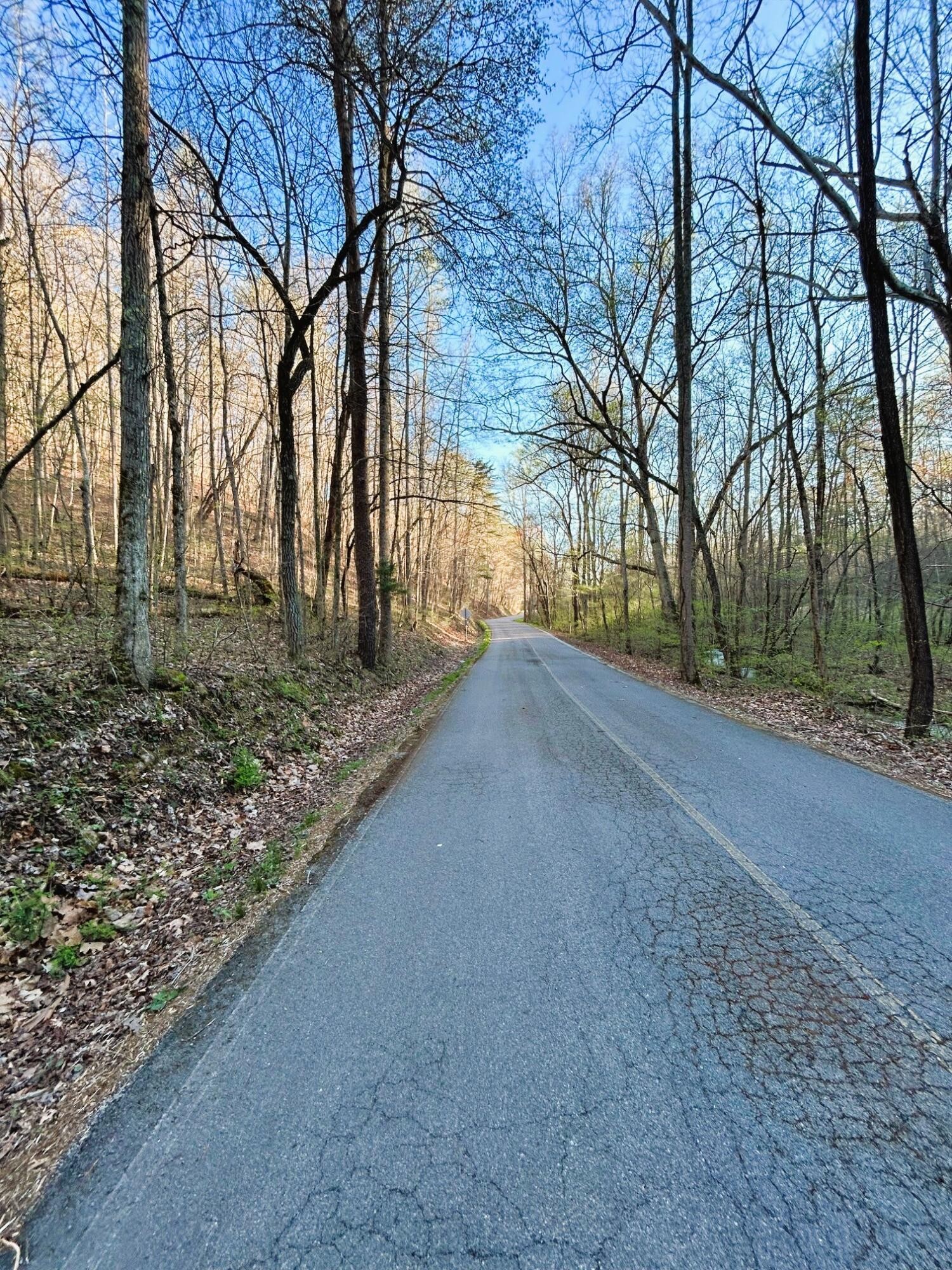 3 Southwest Owl Hollow Road McDonald, TN 37353 - Photo 8 of 9