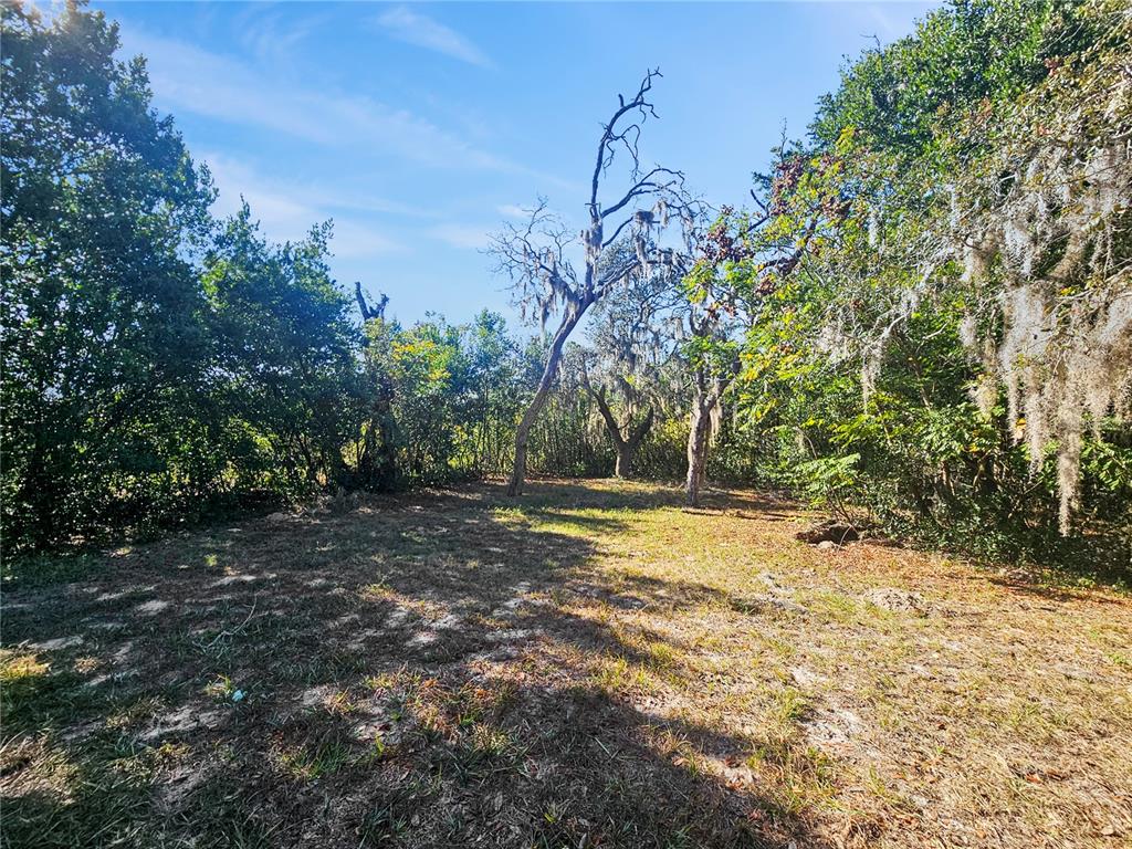 Undisclosed Address Spring Hill, FL 34606 - Photo 17 of 18