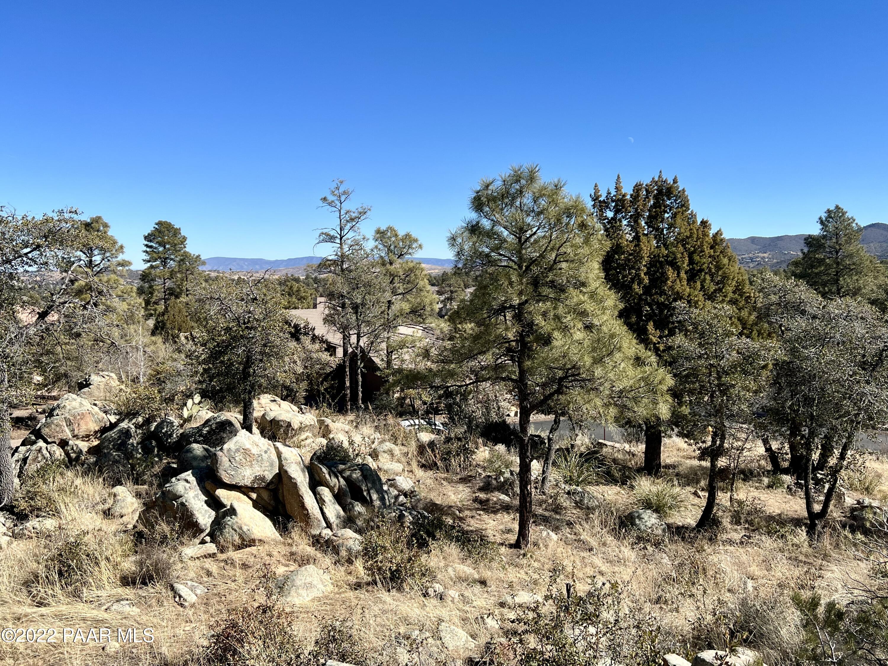 1723 Conifer Ridge Lane Prescott, AZ 86303 - Photo 11 of 25 Lot