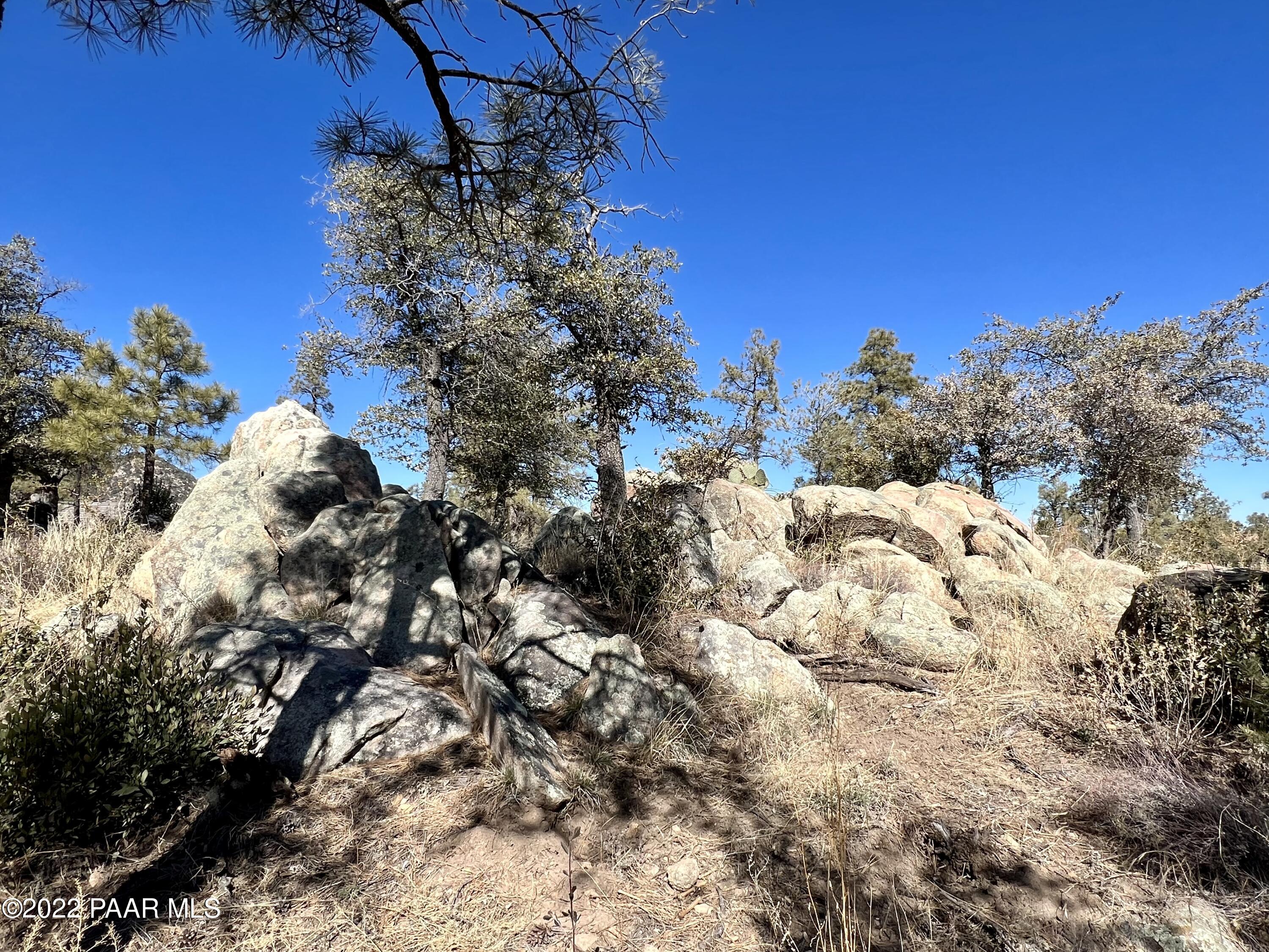 1723 Conifer Ridge Lane Prescott, AZ 86303 - Photo 14 of 25 Lot