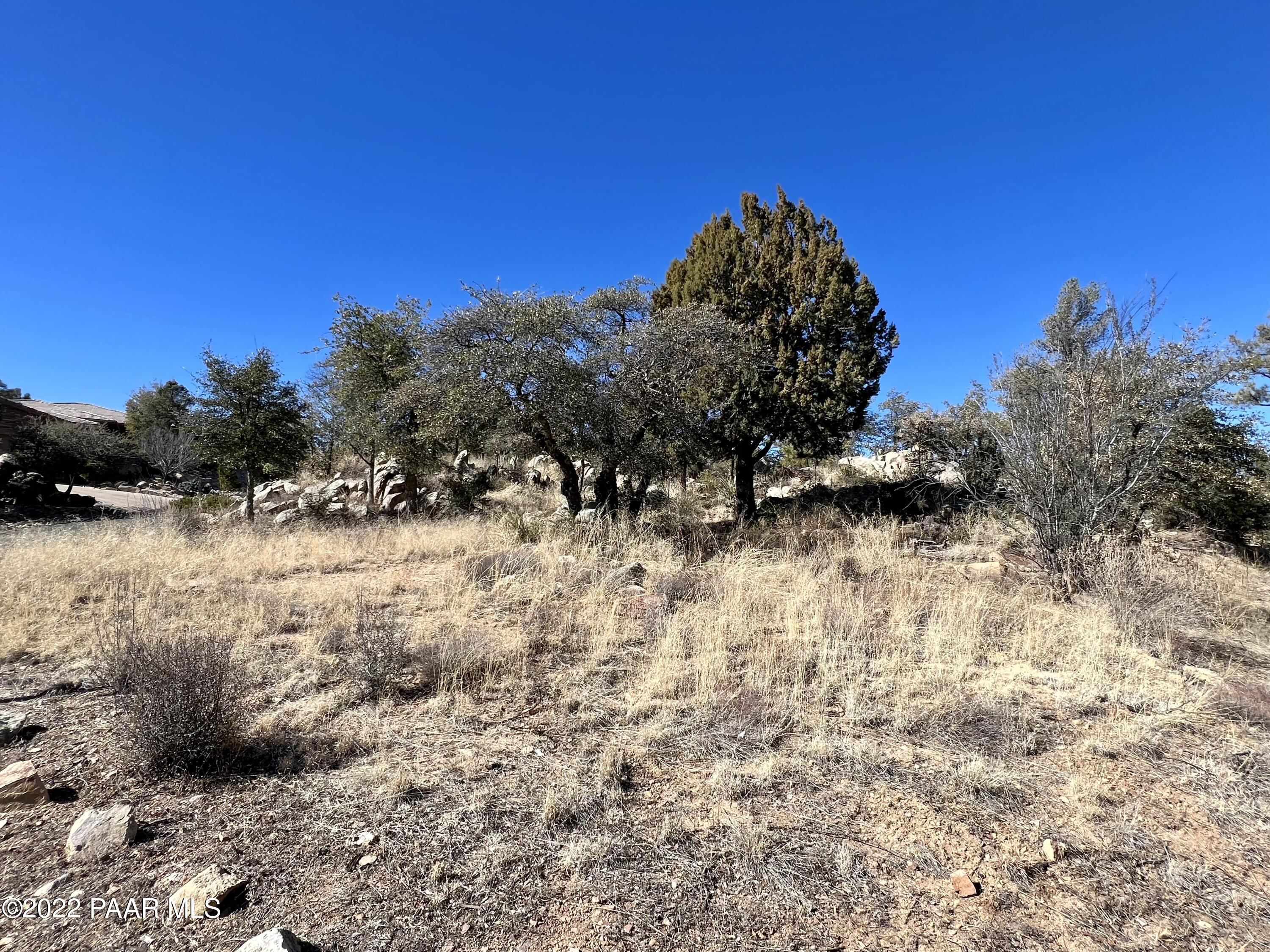 1723 Conifer Ridge Lane Prescott, AZ 86303 - Photo 16 of 25 Lot