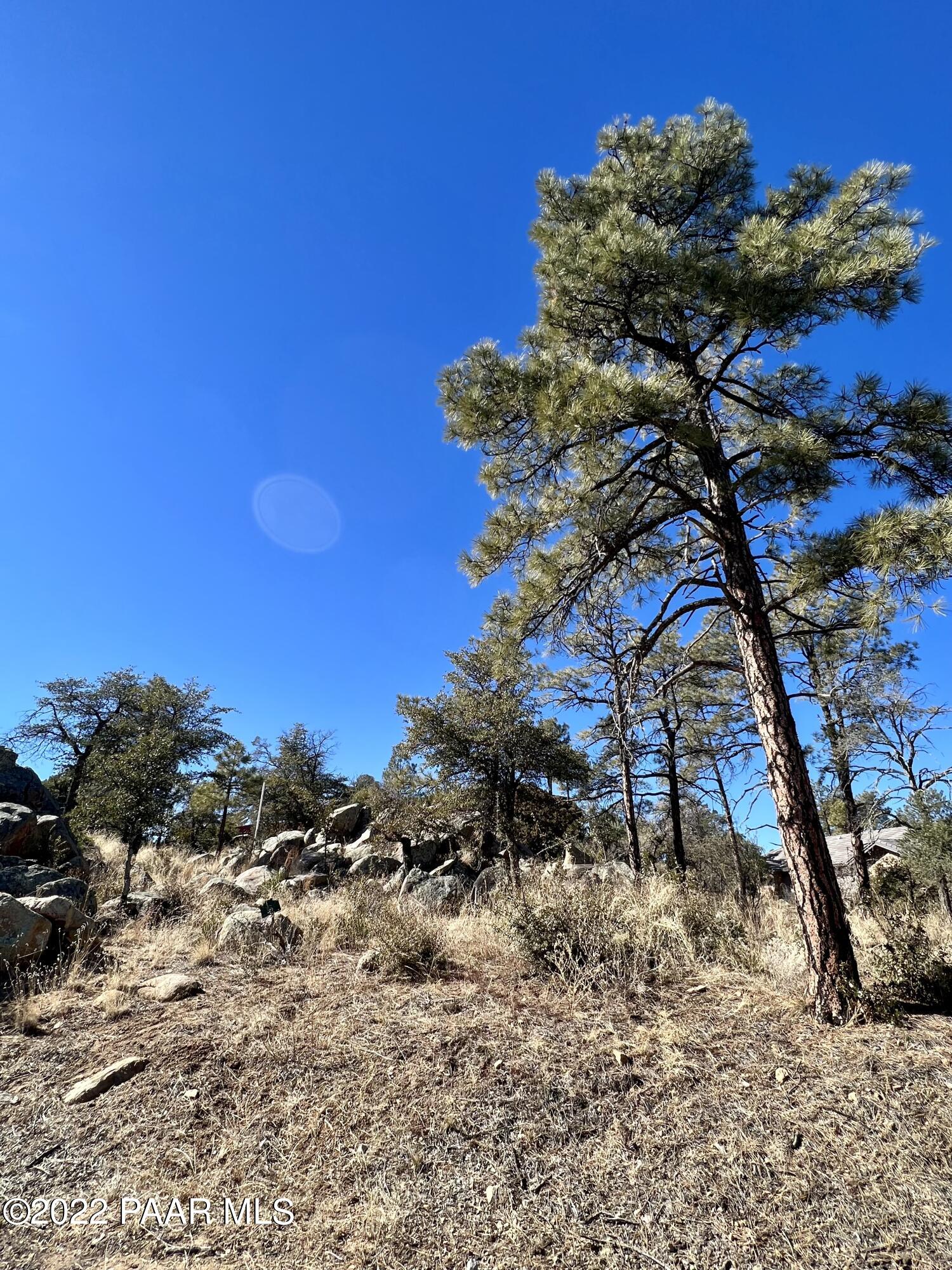 1723 Conifer Ridge Lane Prescott, AZ 86303 - Photo 18 of 25 Lot
