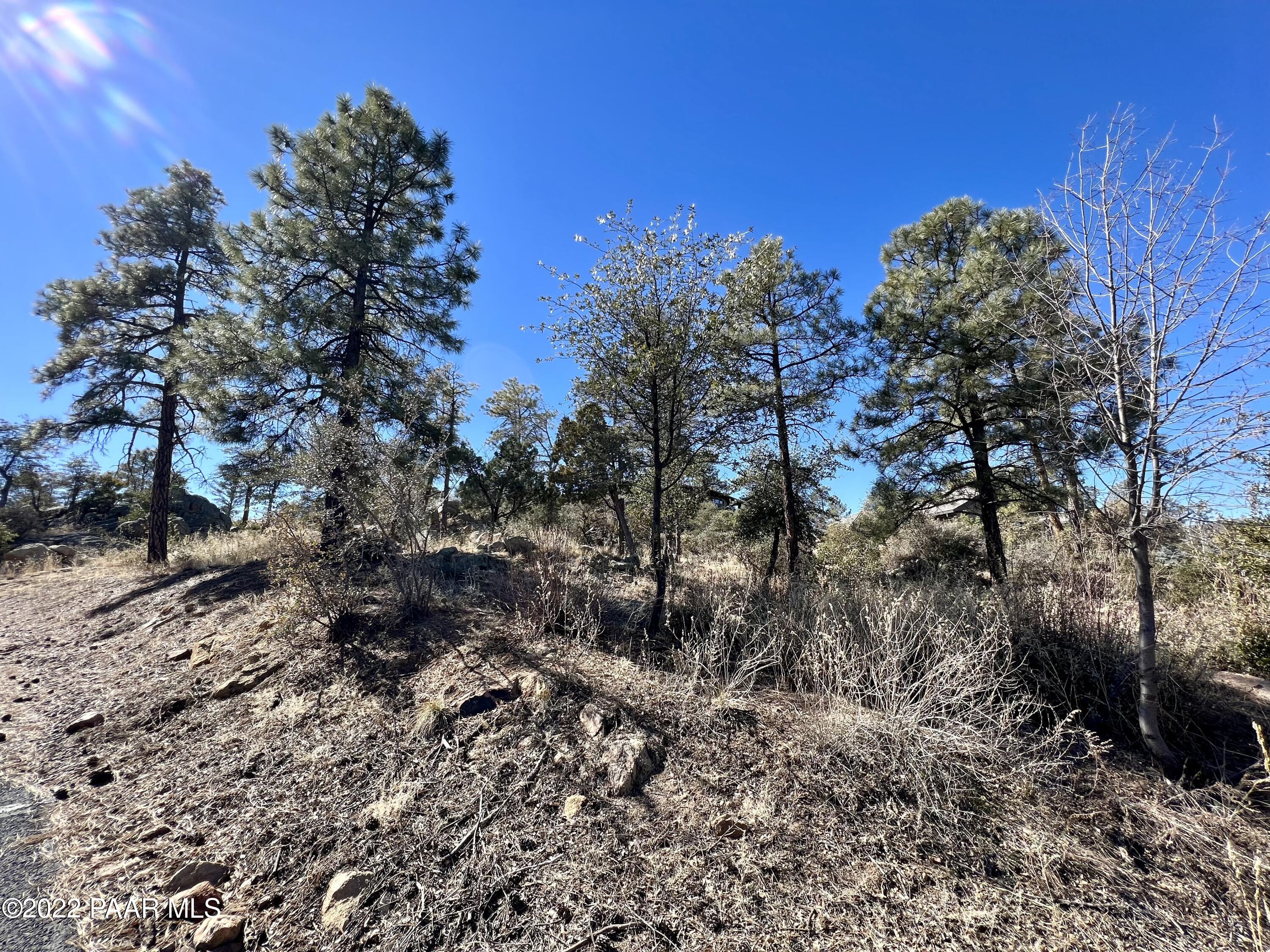 1723 Conifer Ridge Lane Prescott, AZ 86303 - Photo 19 of 25 Lot
