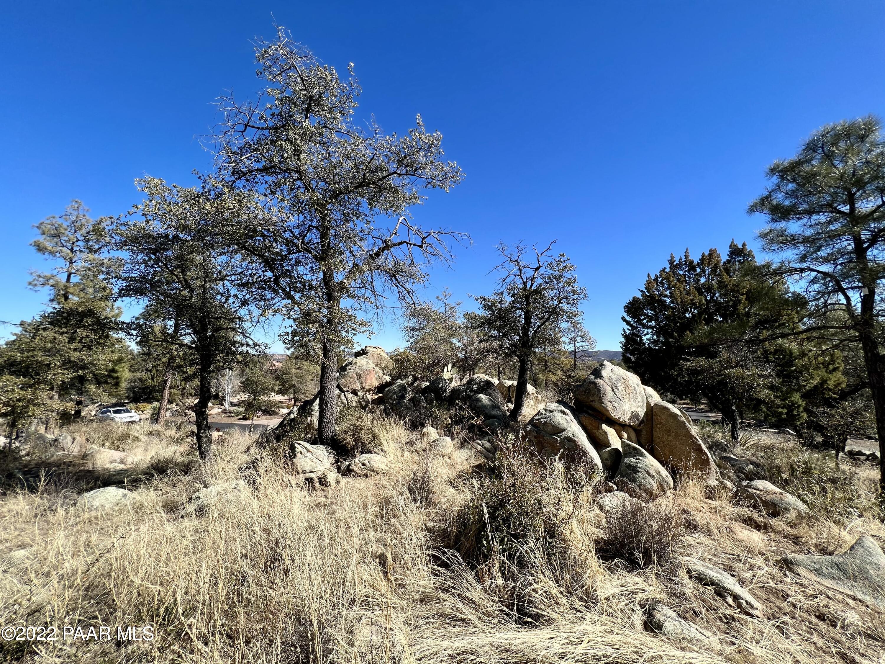 1723 Conifer Ridge Lane Prescott, AZ 86303 - Photo 8 of 25 Lot