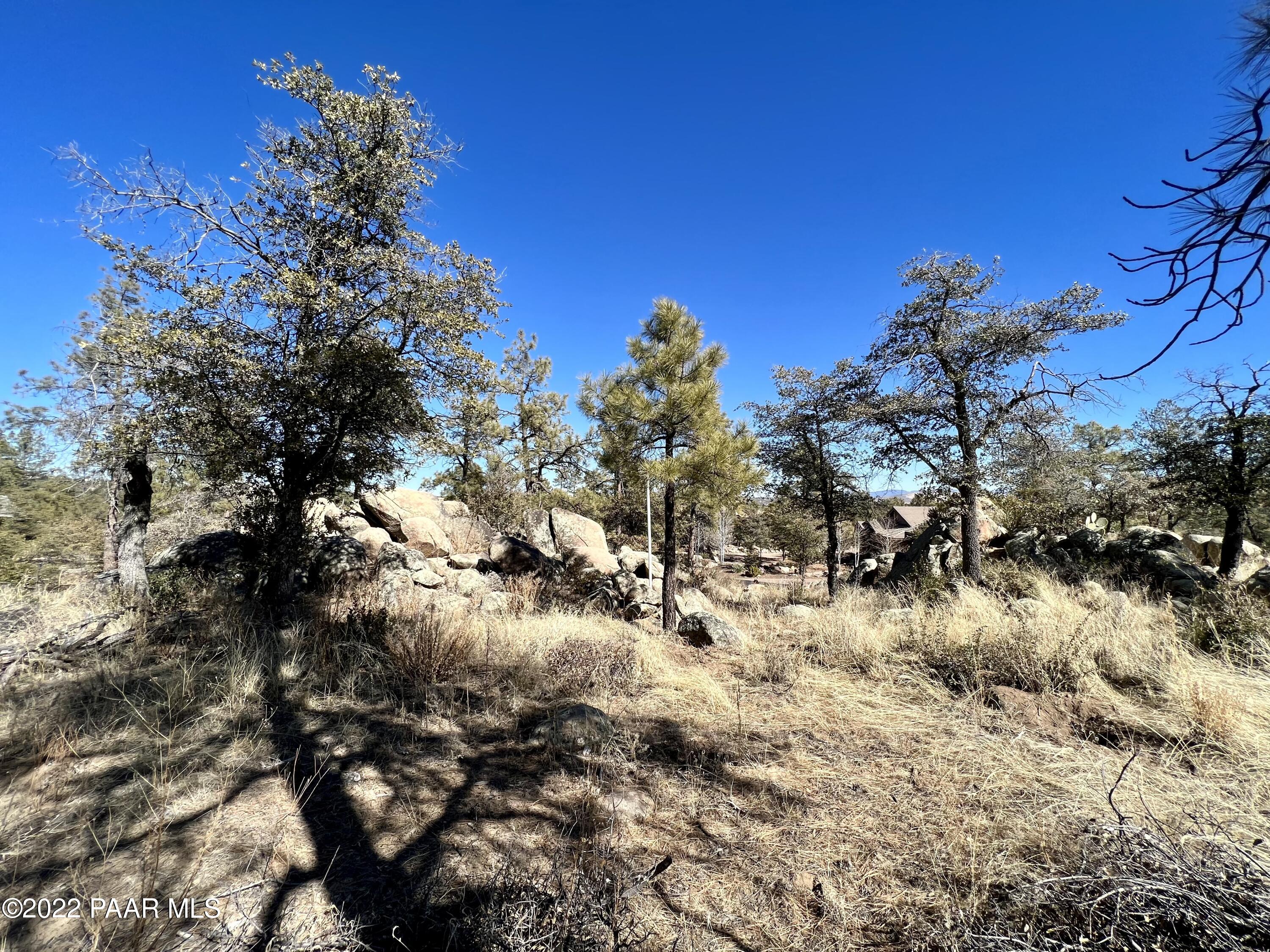 1723 Conifer Ridge Lane Prescott, AZ 86303 - Photo 9 of 25 Lot