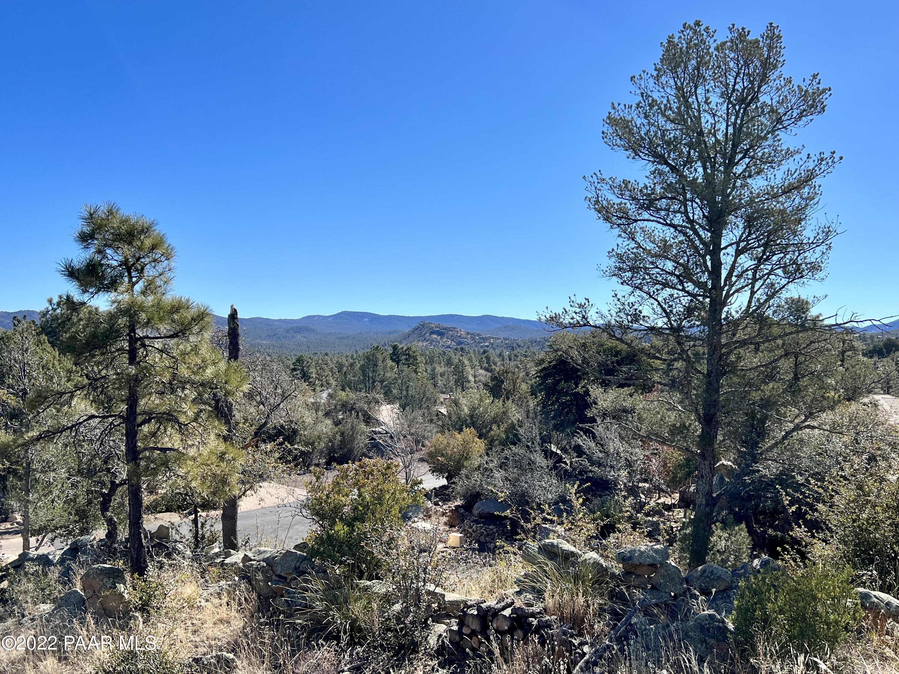 1723 Conifer Ridge Lane Prescott, AZ 86303 - Photo 10 of 25 Lot