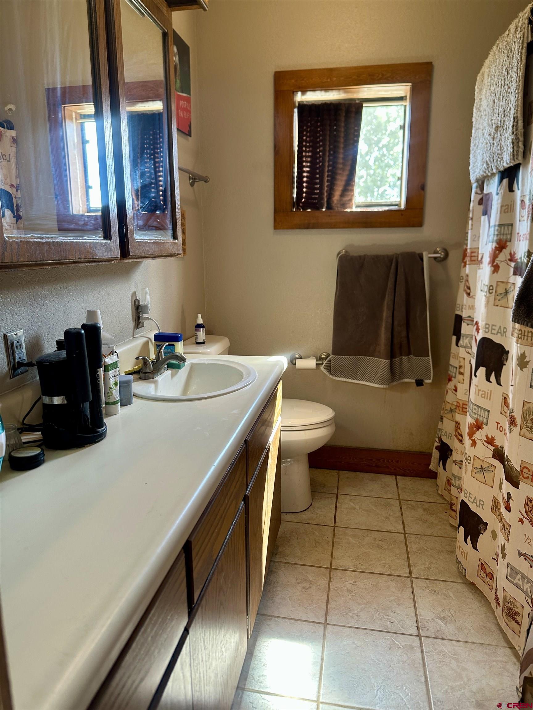 2468 1500th Road Delta, CO 81416 - Photo 16 of 45 a bathroom with a sink a toilet and a mirror