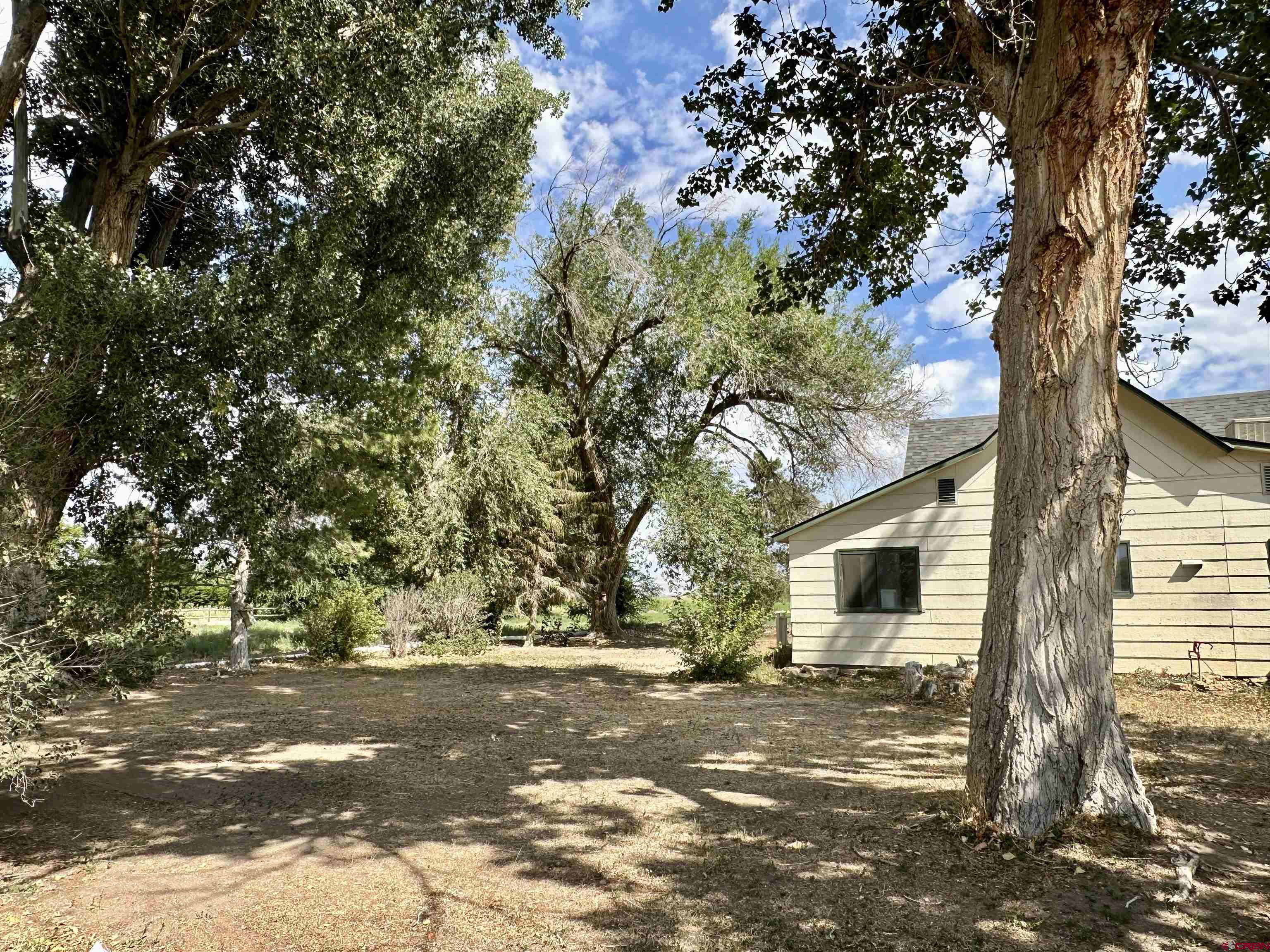 2468 1500th Road Delta, CO 81416 - Photo 35 of 45 a view of a yard with a tree