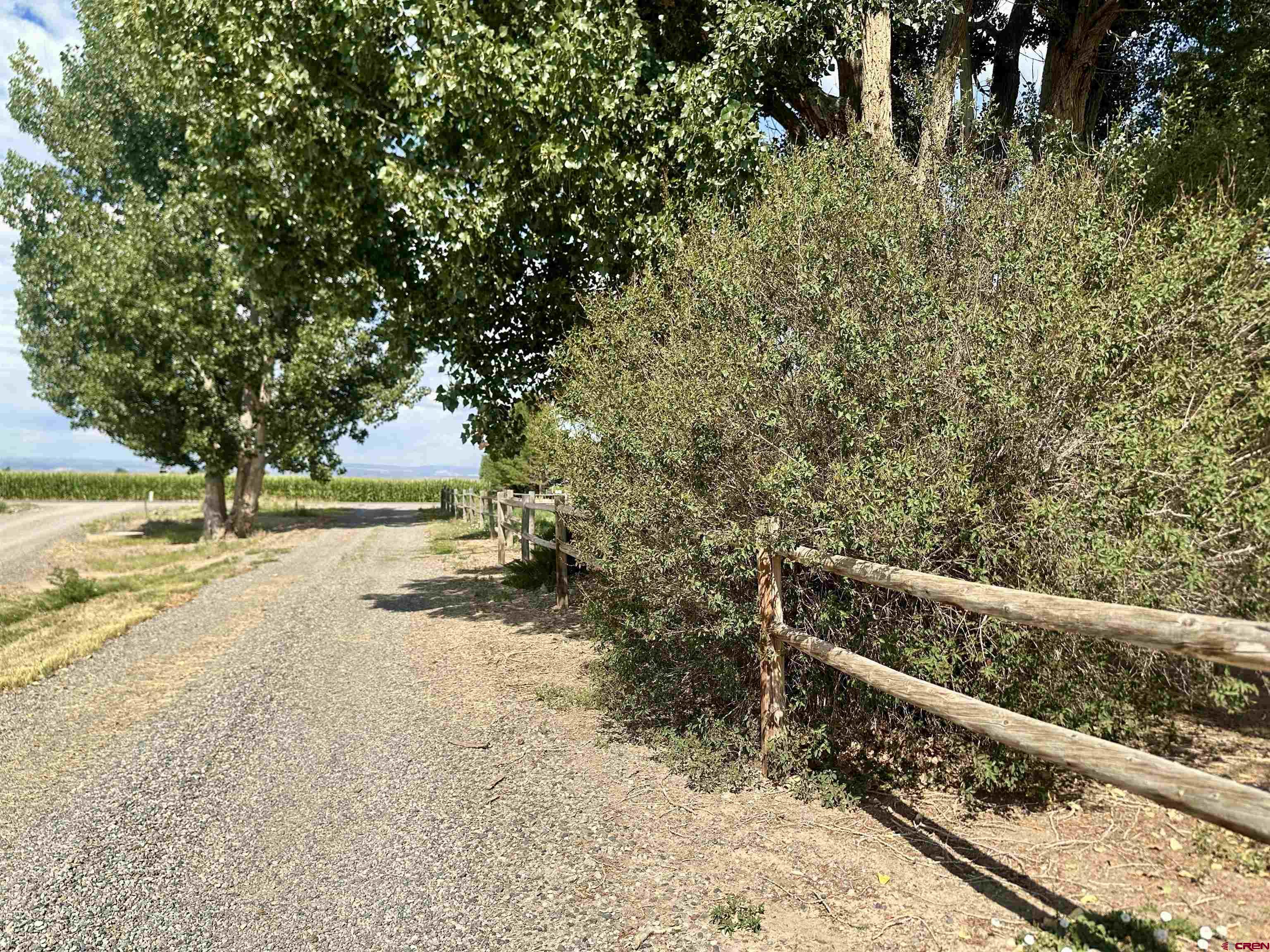 2468 1500th Road Delta, CO 81416 - Photo 38 of 45 a view of a yard with wooden fence
