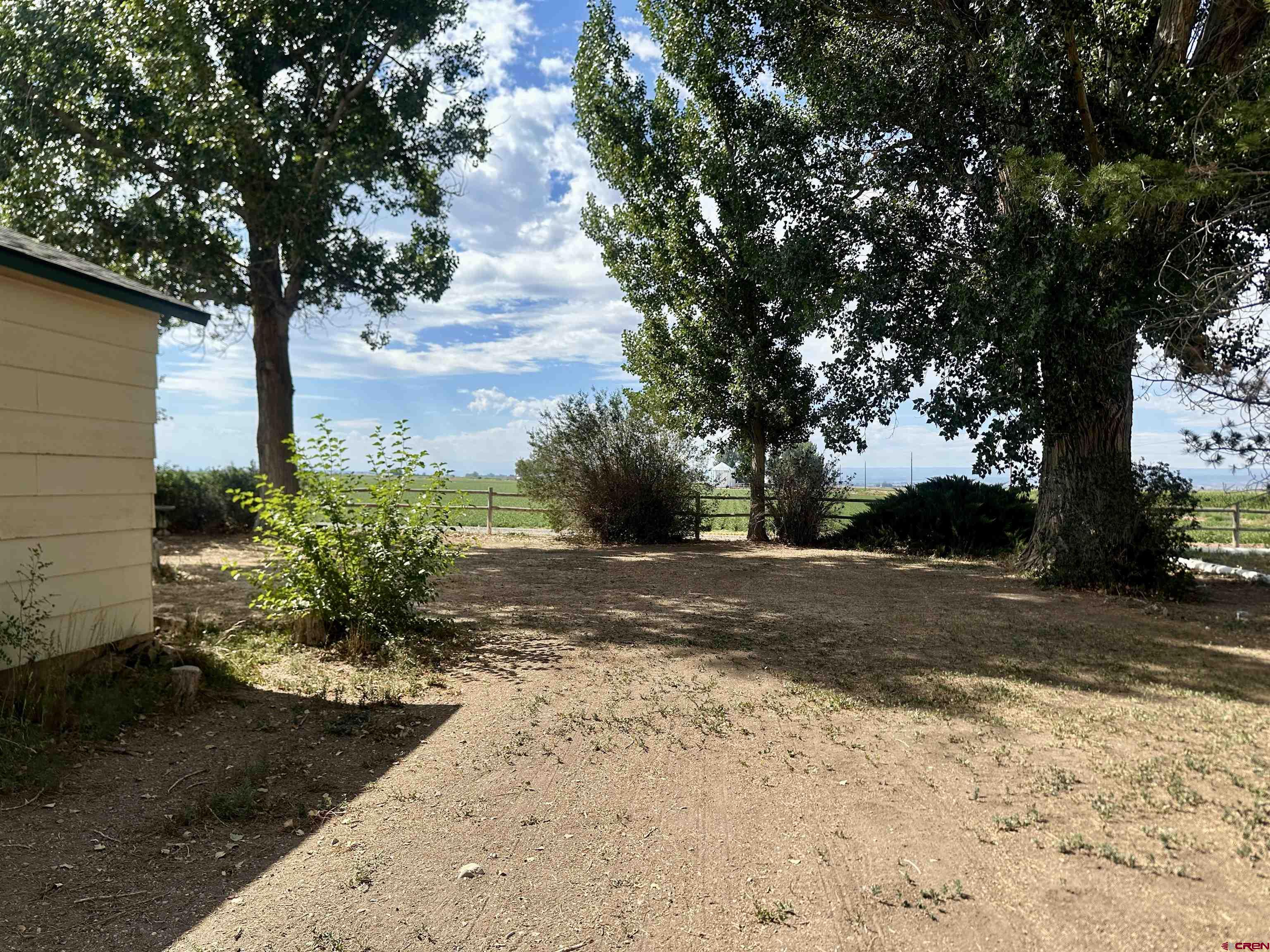 2468 1500th Road Delta, CO 81416 - Photo 40 of 45 a view of a yard with plants and trees