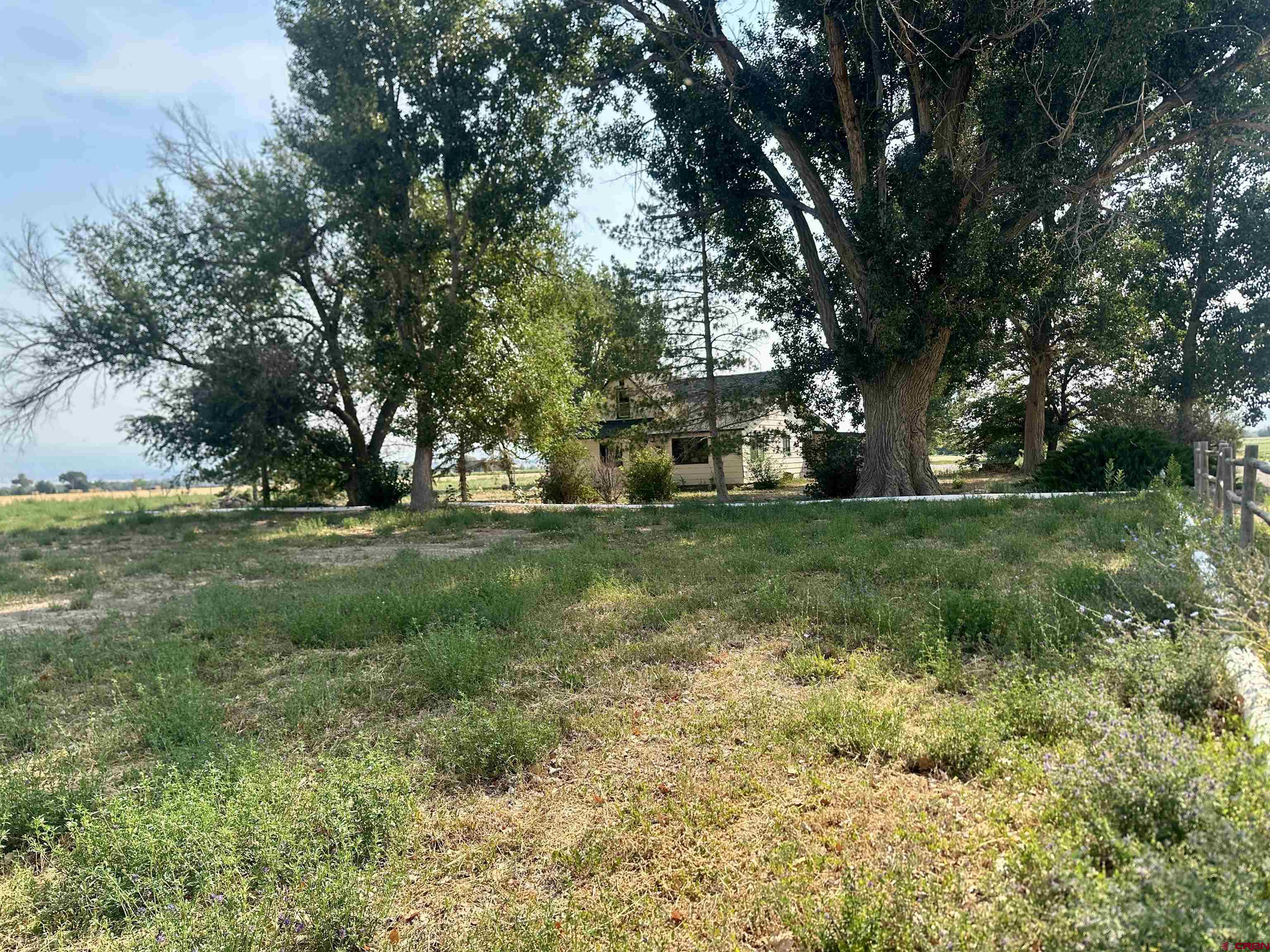 2468 1500th Road Delta, CO 81416 - Photo 41 of 45 a view of grassy field with benches and trees all around