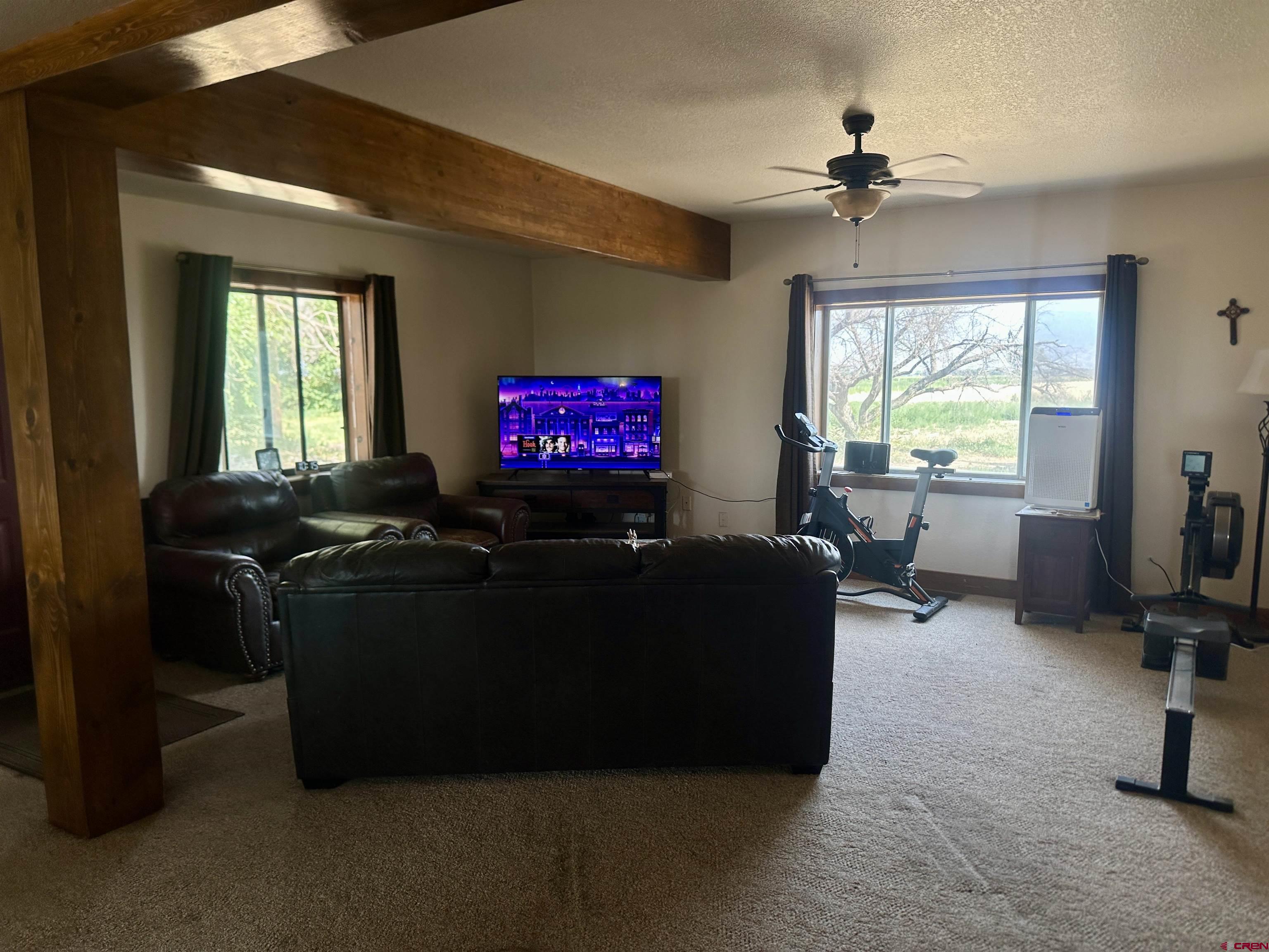 2468 1500th Road Delta, CO 81416 - Photo 8 of 45 a living room with furniture and a flat screen tv