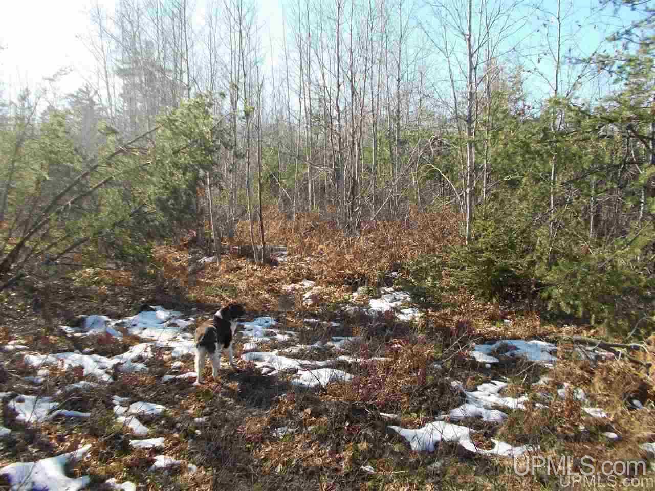 74-acres 74-acres Off Co Road Negaunee, MI 49866 - Photo 16 of 17