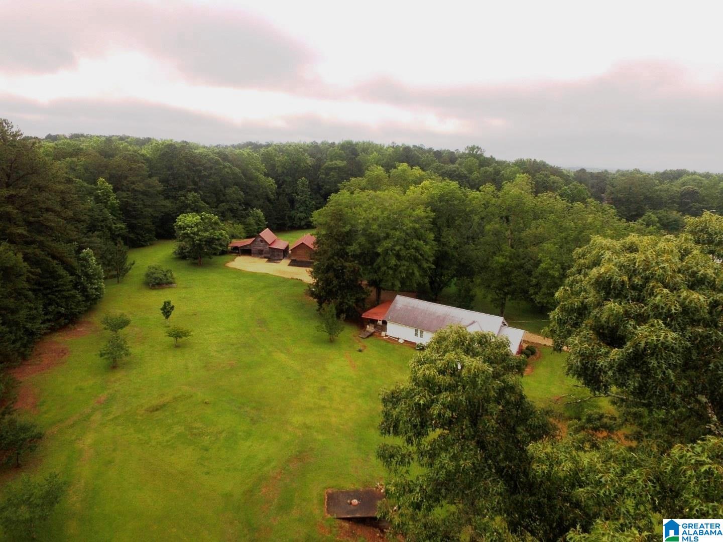 1020 County Road 57 Lineville, AL 36266 - Photo 34 of 40