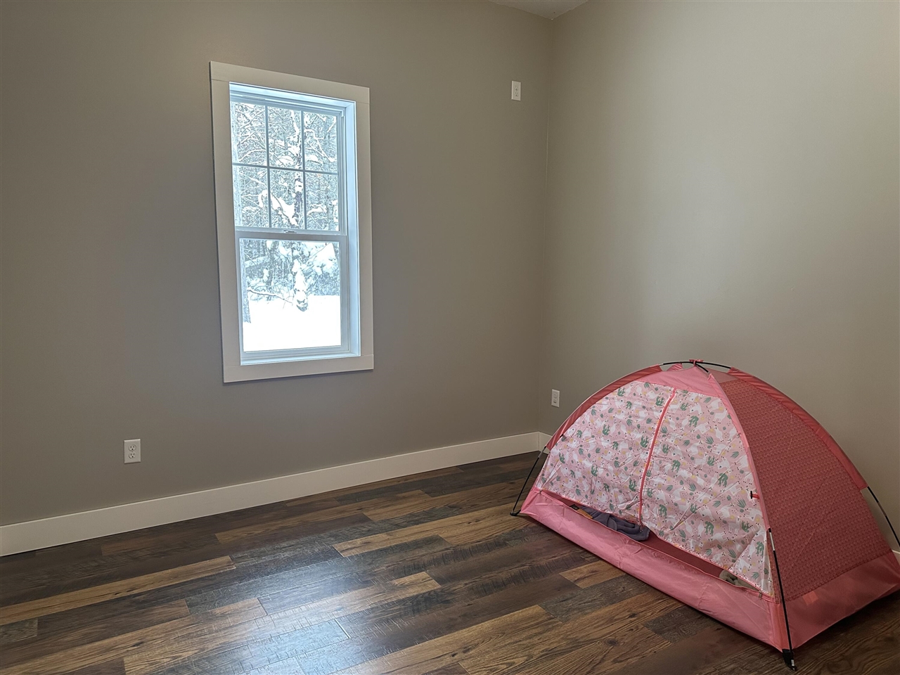 604 Beaver Road Bitely, MI 49309 - Photo 36 of 99