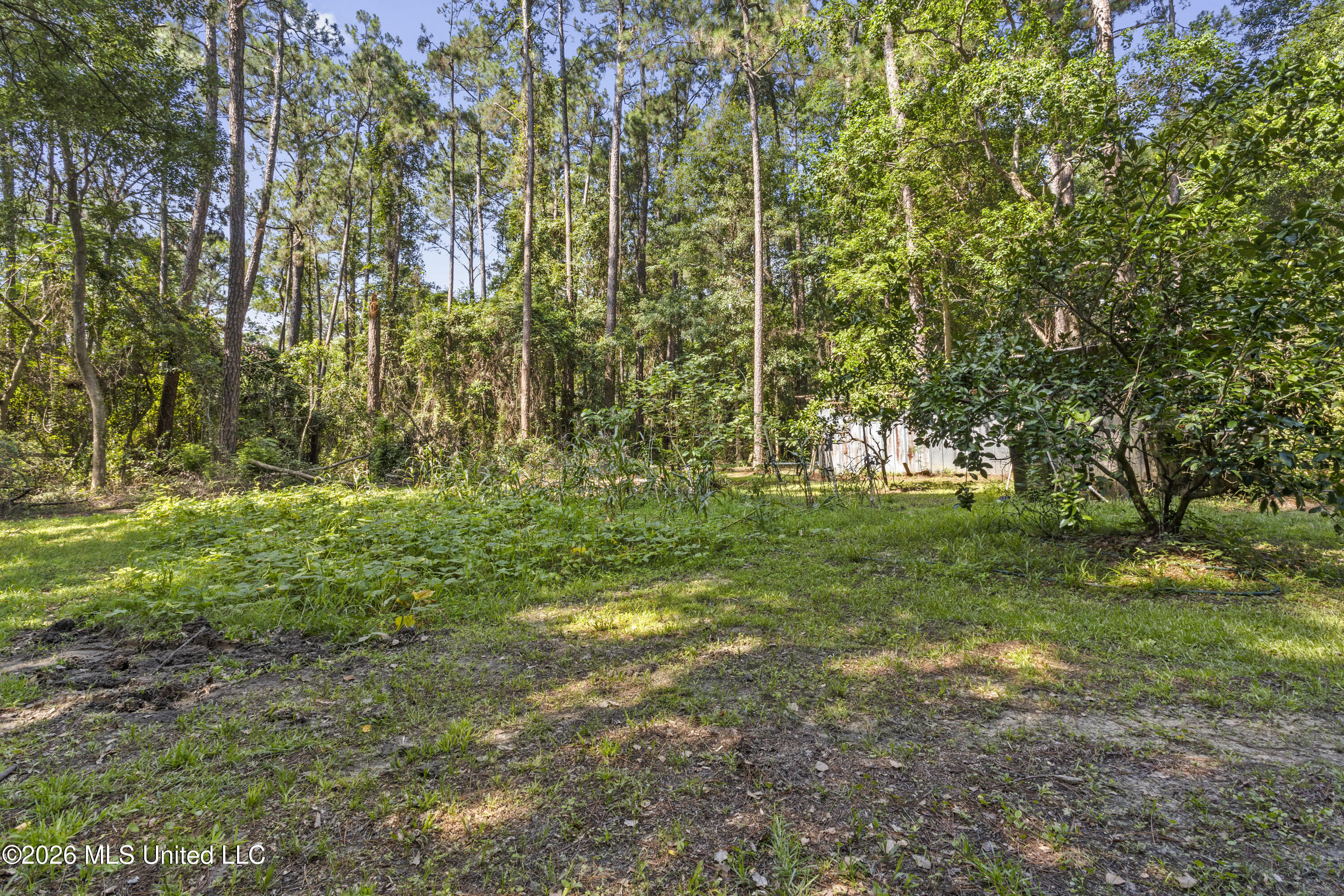 5701 Quave Road Vancleave, MS 39565 - Photo 57 of 67 00049