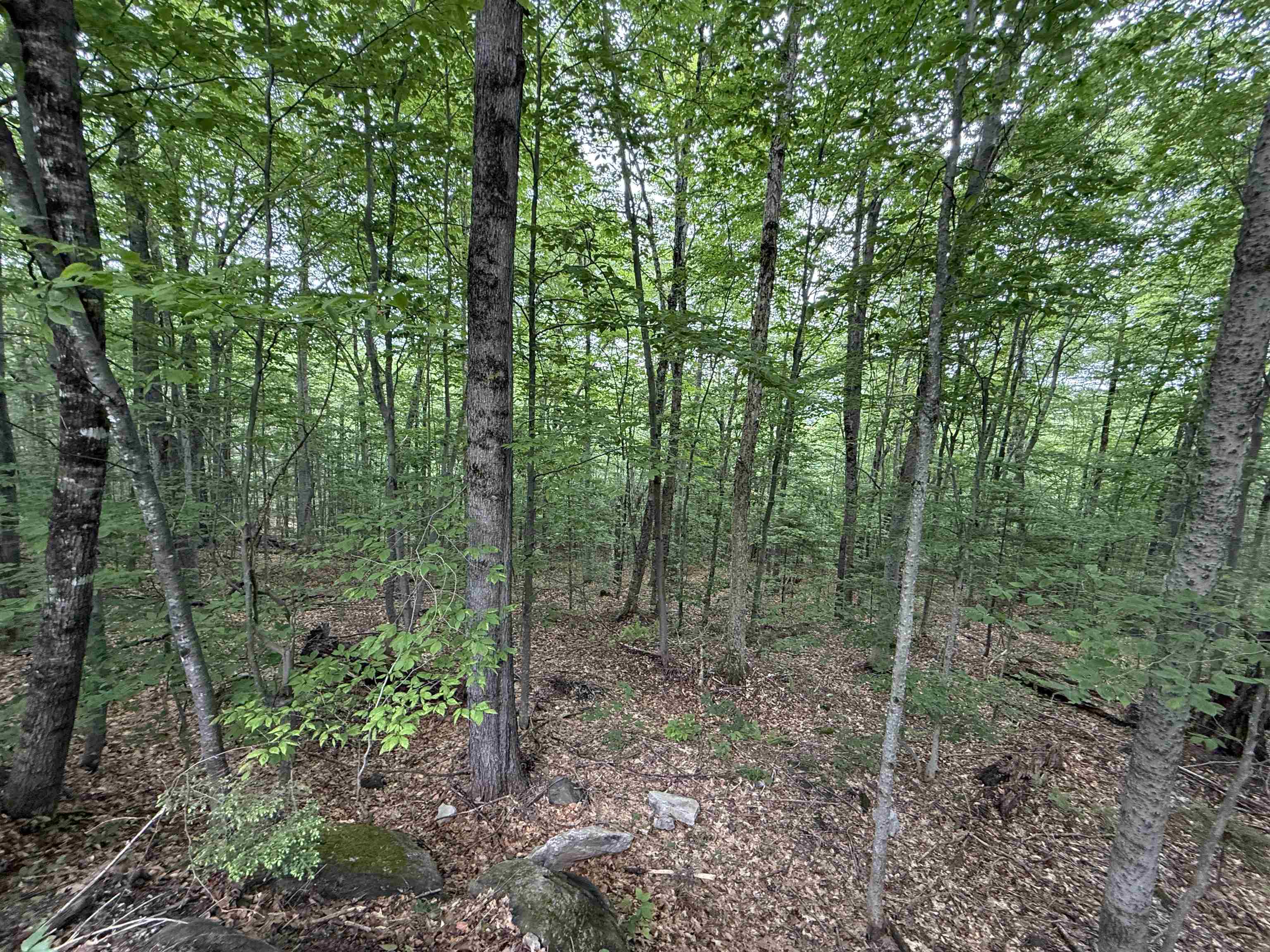 Lot 6 Akerman Road Alexandria, NH 03222 - Photo 7 of 16