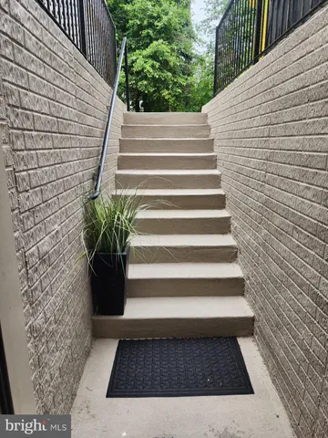 a view of a yard in the back